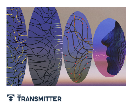 Data Storytelling in a World of Knowledge Asymmetry