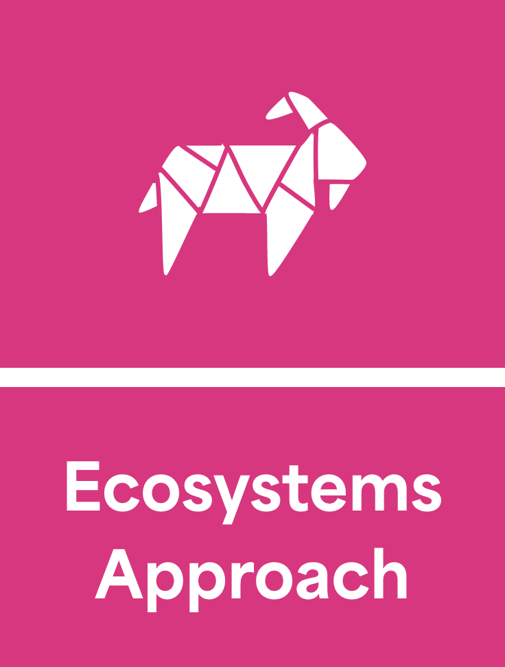 Enhancing Education Through An Ecosystems Approach Learning Agenda enhancing-education-through-an-ecosystems-approach-learning-agenda