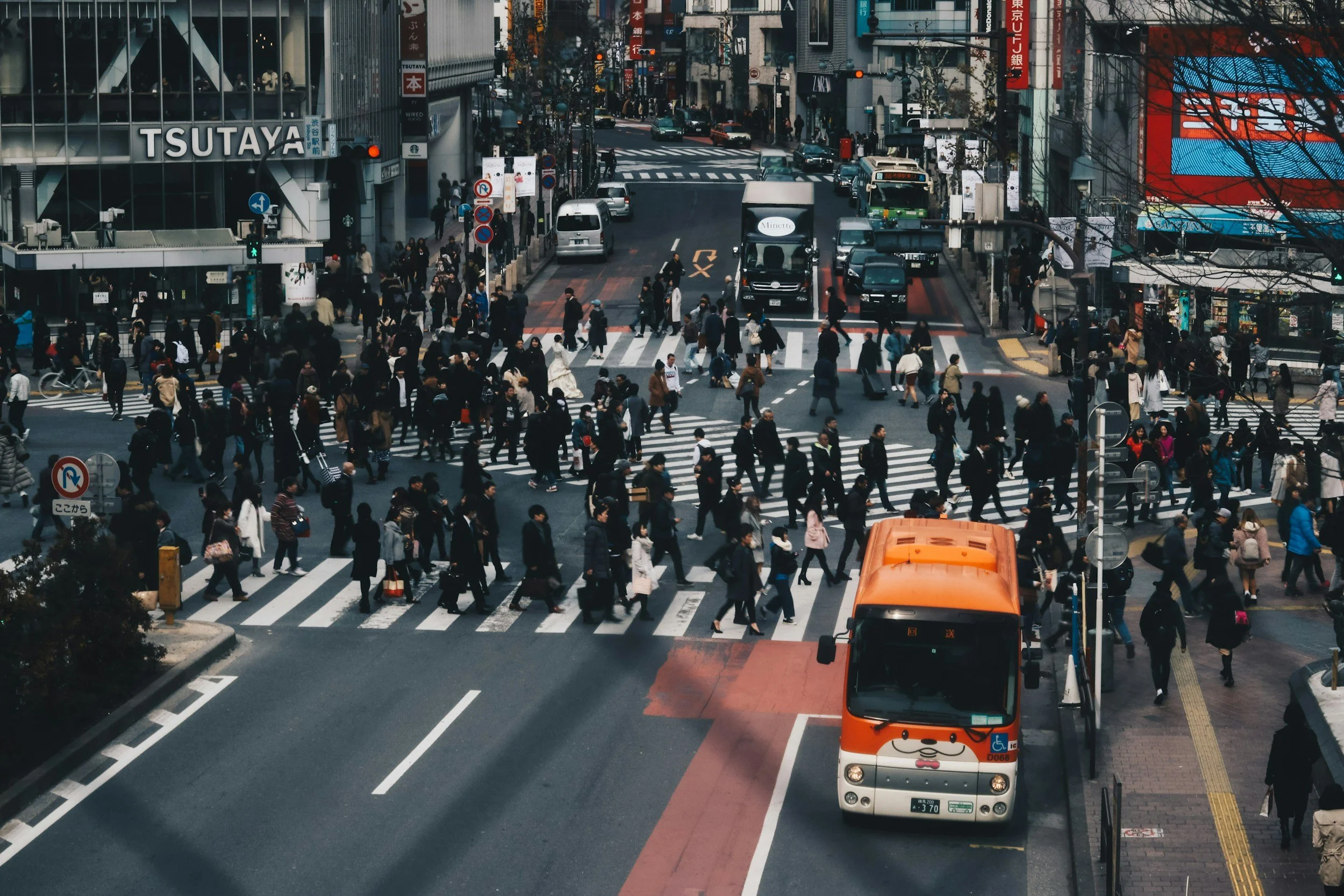 unsplash-image-xFkZ9gXVvnc.jpg
