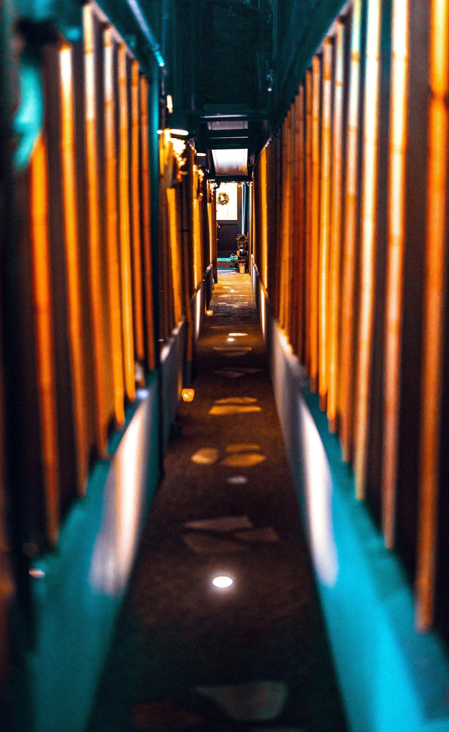 unsplash-image-E5Uz-pNGf4w.jpg