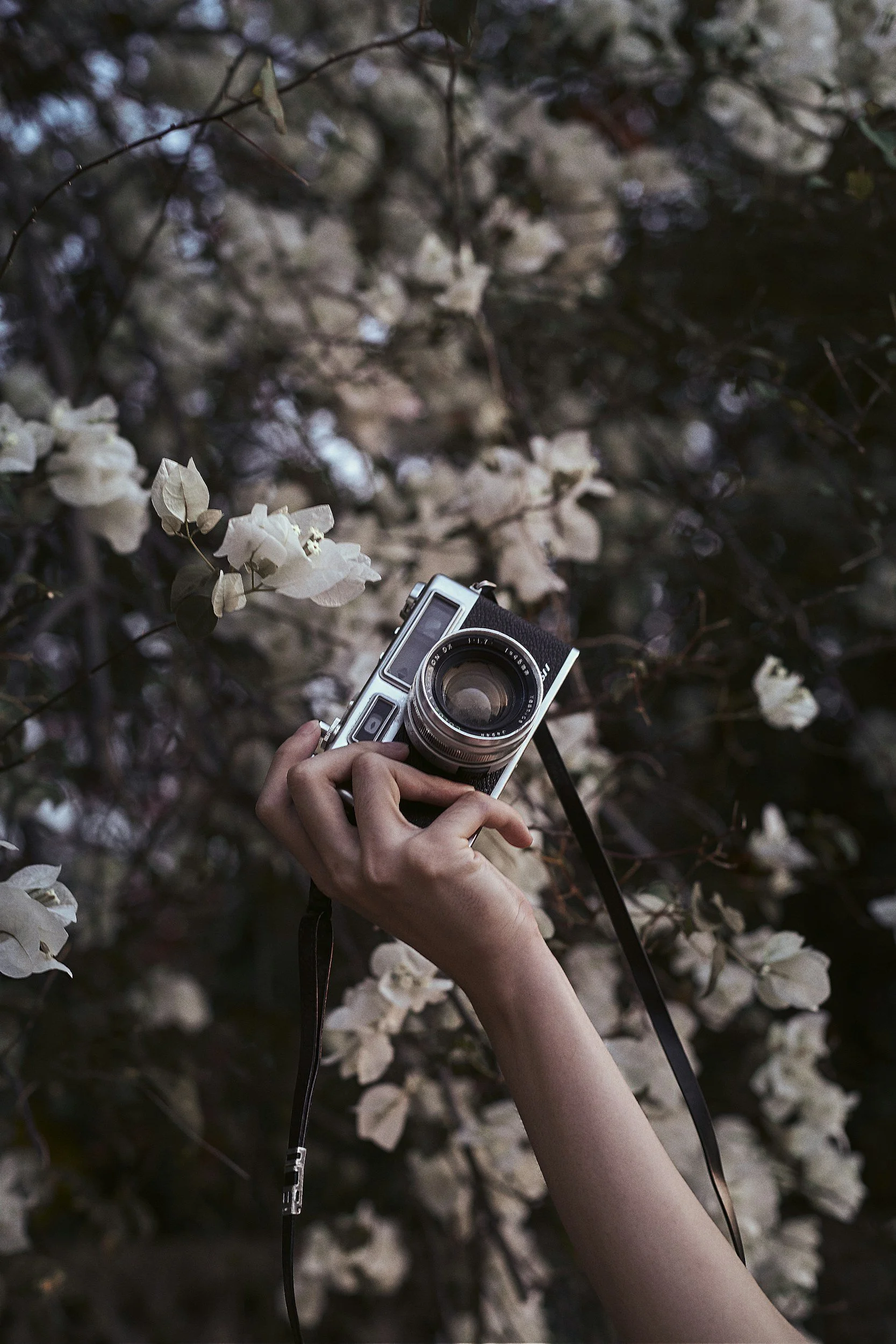 unsplash-image-OQFL4qvuaec.jpg