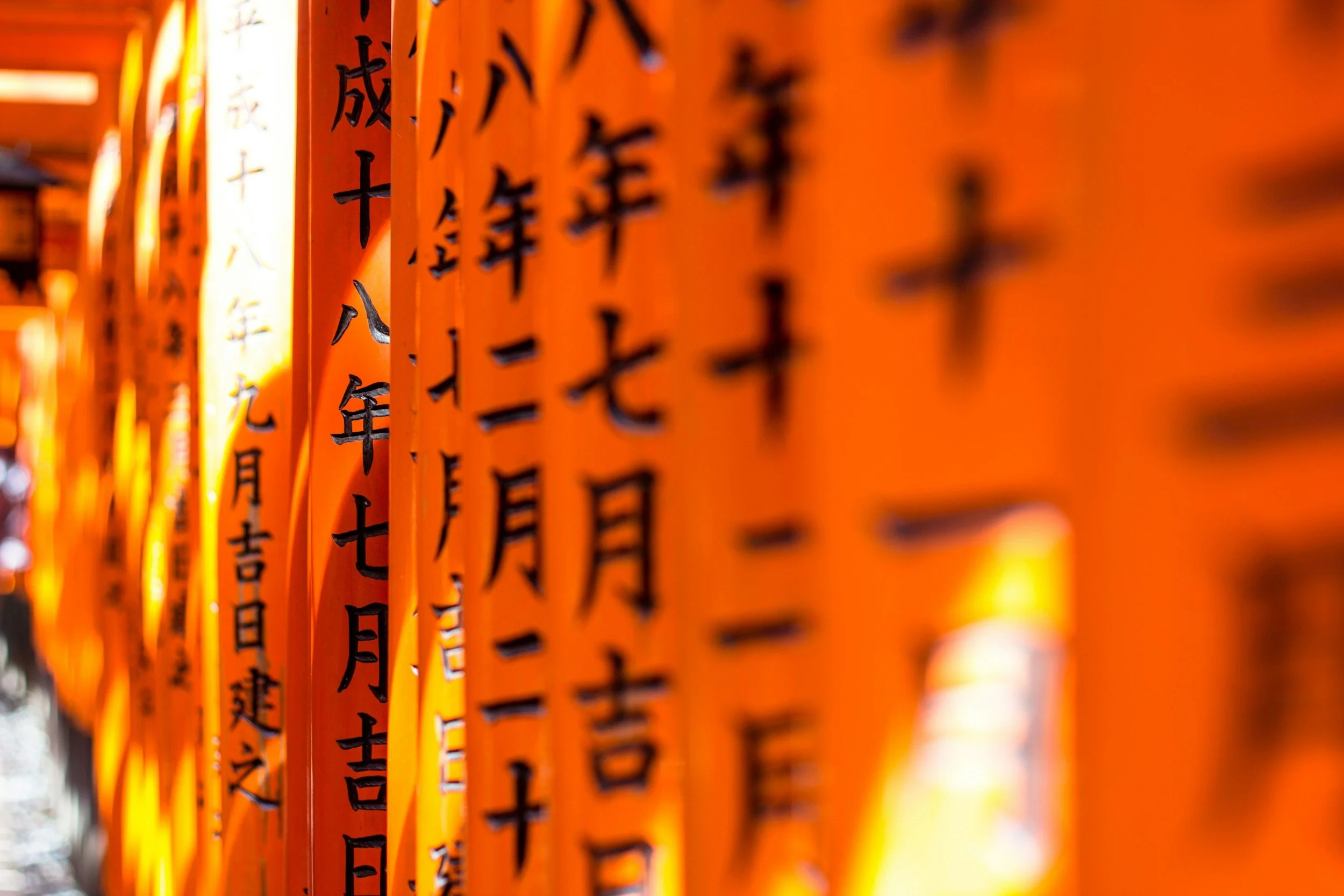 unsplash-image-Pz3EHf-KJfc.jpg