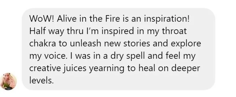 Testimonial about Alive in the Fire Book by Rachel Warmath