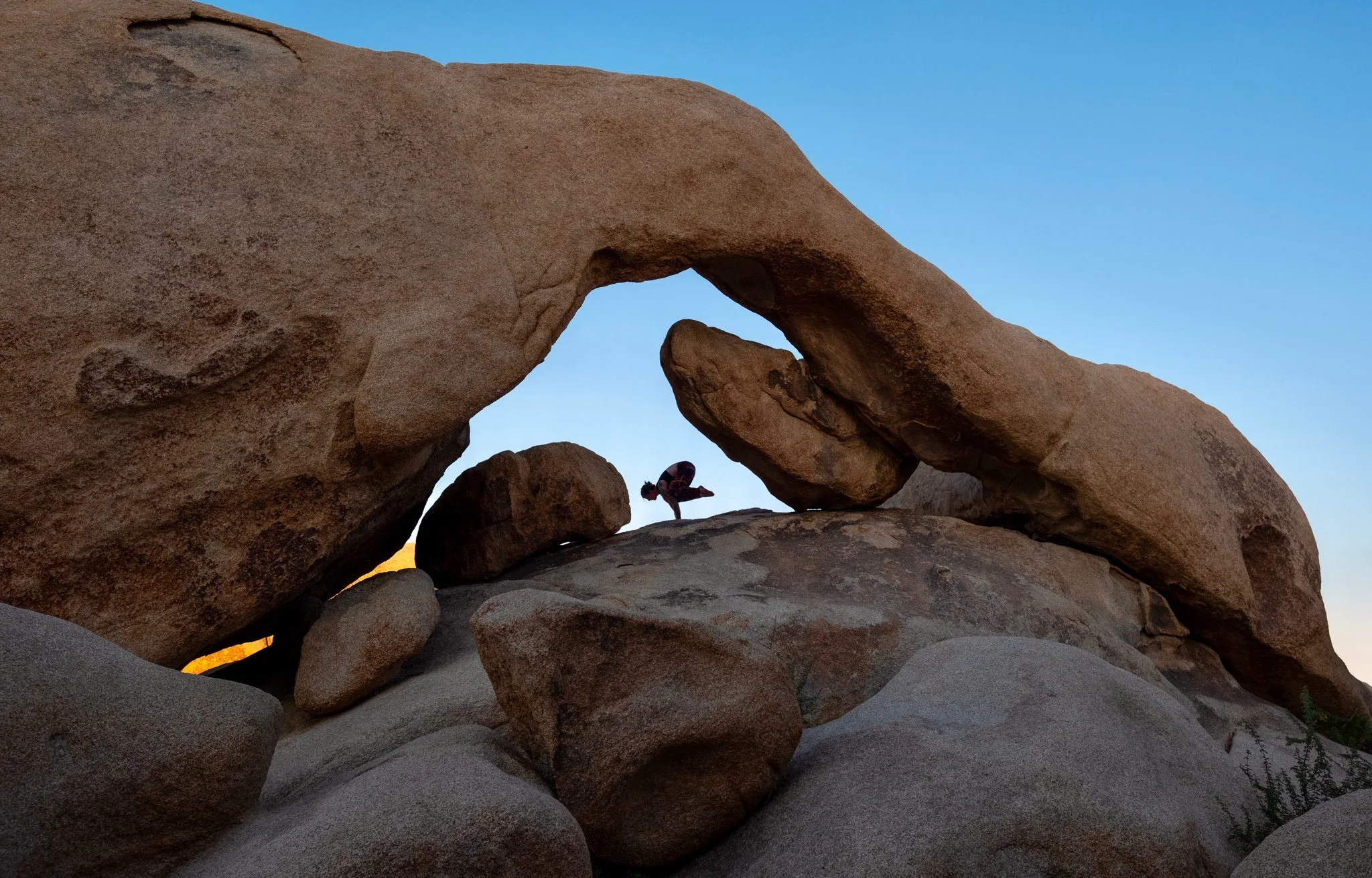 Alive in the Fire_Jeremy Baker (2).jpg