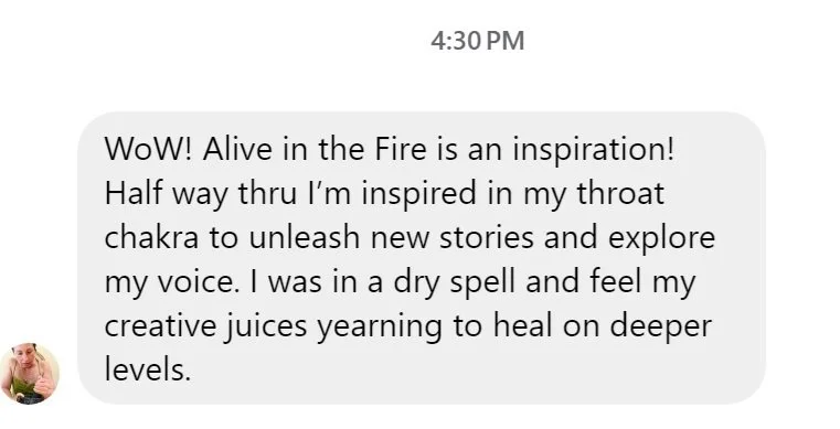 Testimonial about Alive in the Fire Book by Rachel Warmath