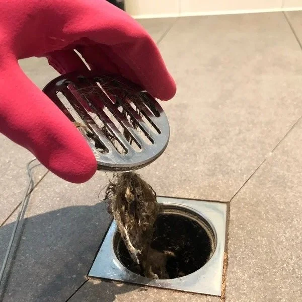 The Unholy Union of Hair, Soap Scum, and Regret in Every Shower Drain
