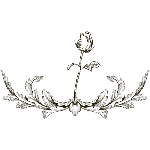 pennyrosecoffee.com