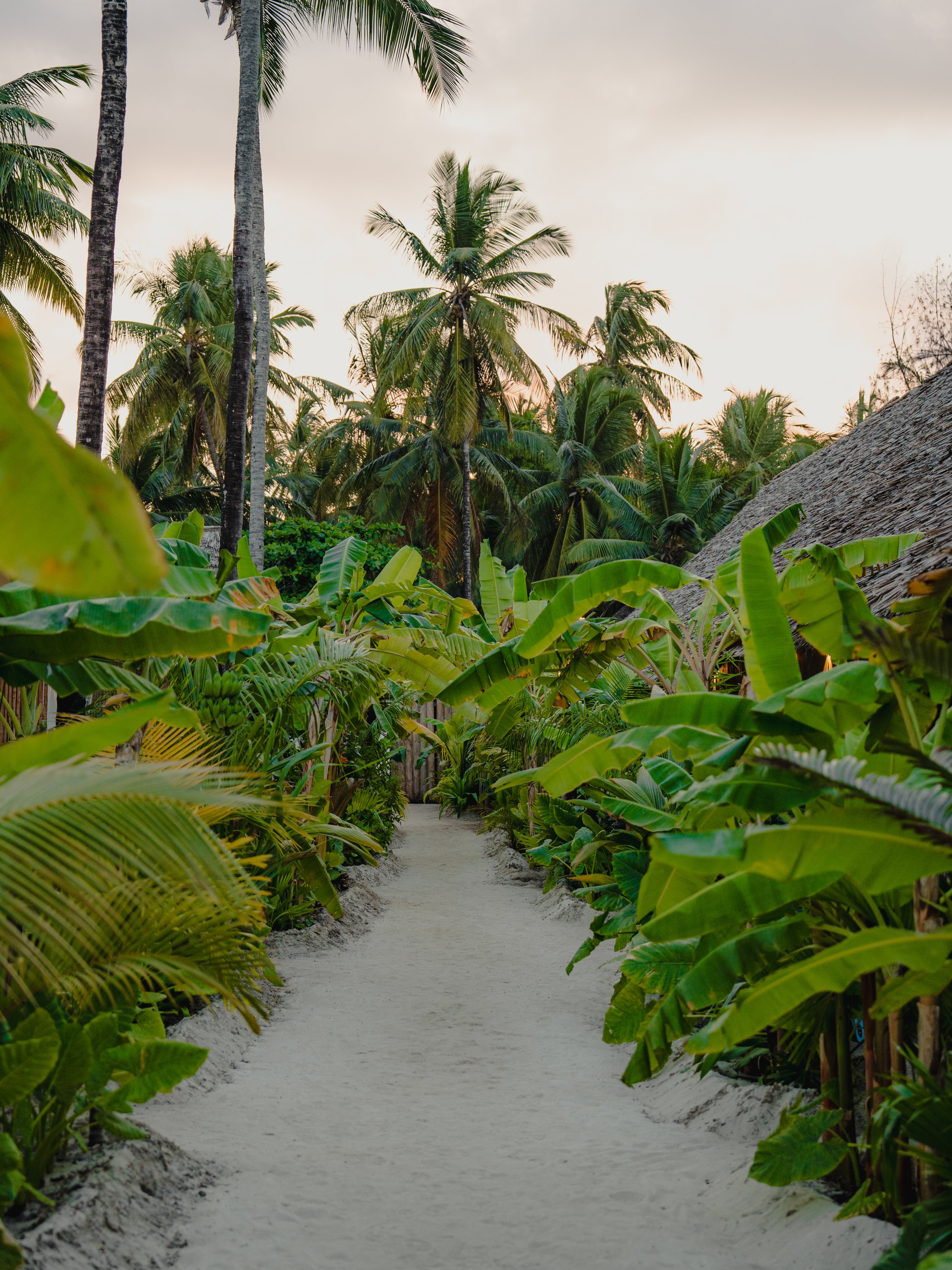 Maisha-Matamu-Photos-V2-5.jpg