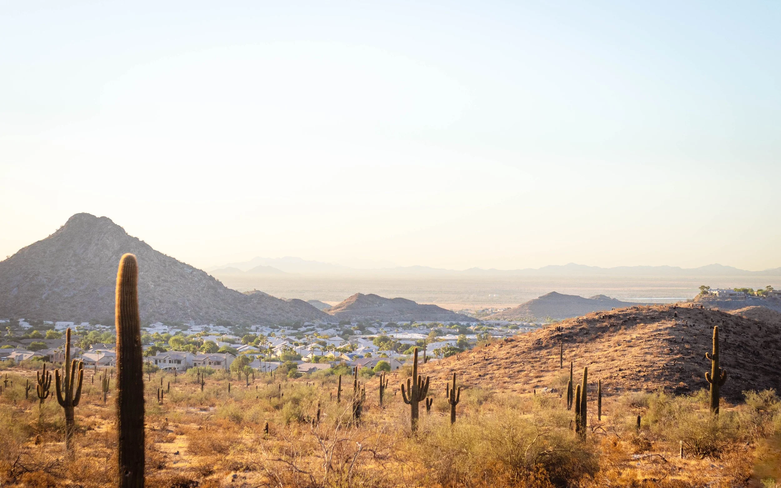 The desert outside Tucson, Arizona