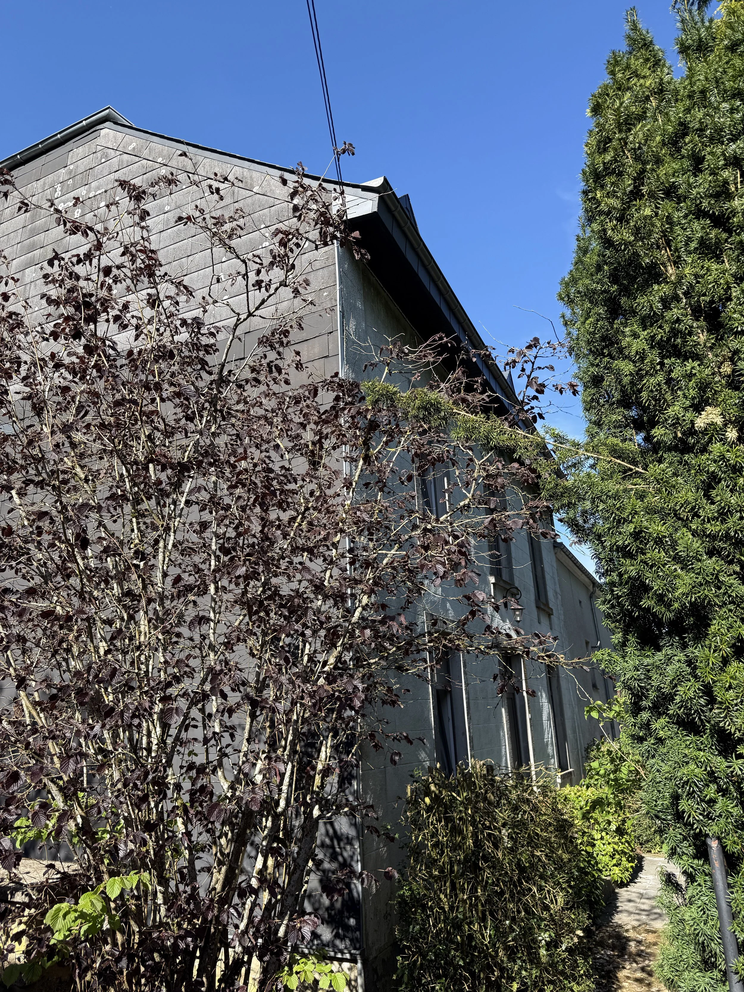 Une maison en pierre avec un toit en tuiles, entourée d'arbres, un ciel bleu clair en arrière-plan, un trottoir en pierre à droite.