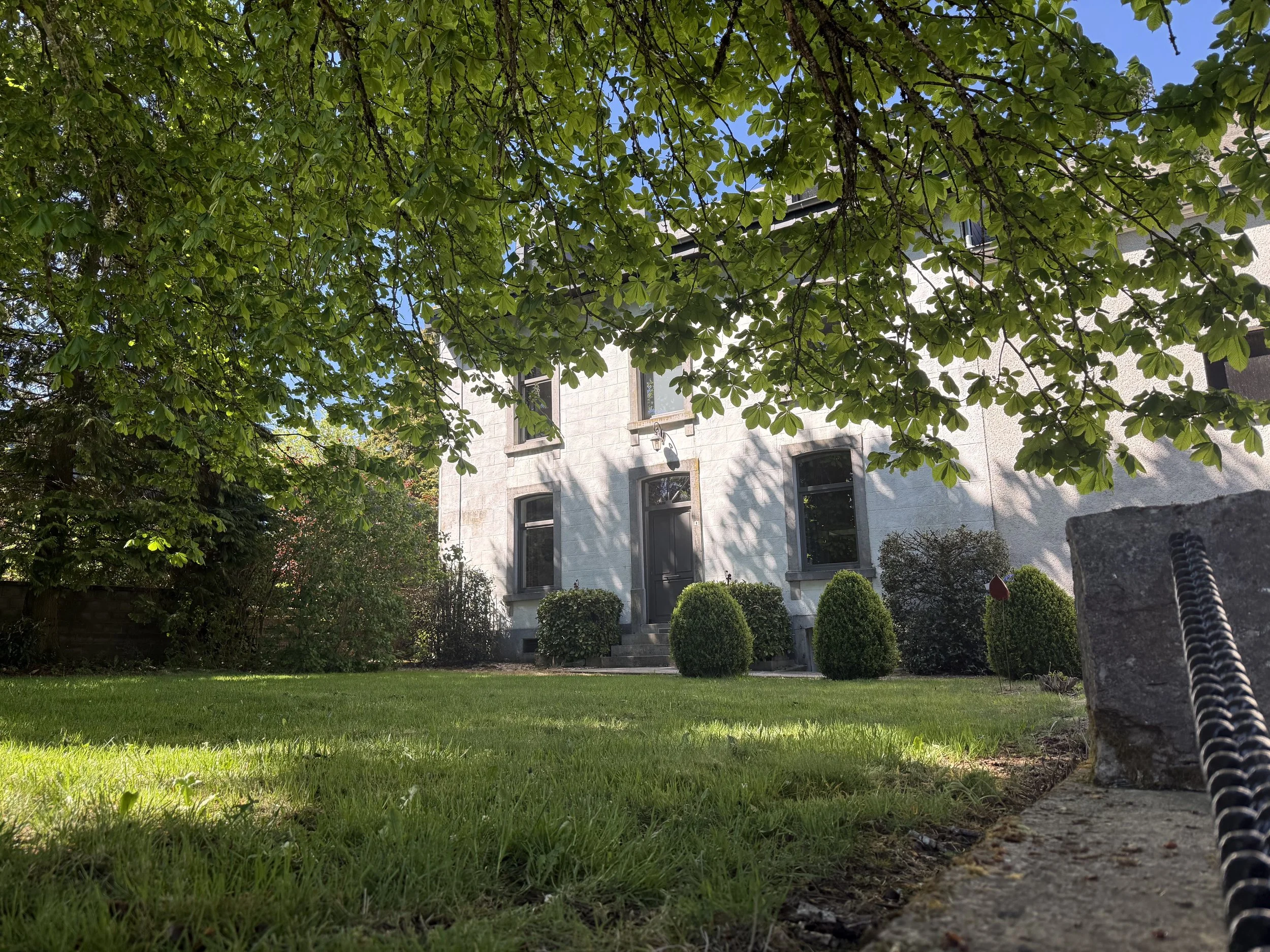 Vue du jardin avec une maison en arrière-plan, un arbre feuillu au premier plan et une pelouse verte.