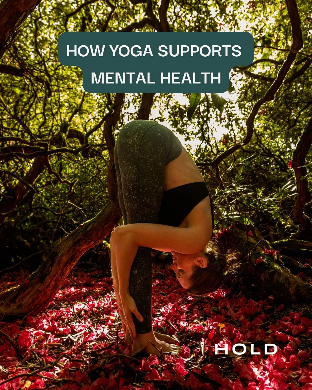 The main reason I practice yoga?

For my mental health.

I cannot emphasise enough how profoundly yoga has helped me, and continues to help me, navigate the messy, stressful, difficult, full-on emotional rollercoaster that is life.

I turned to it af