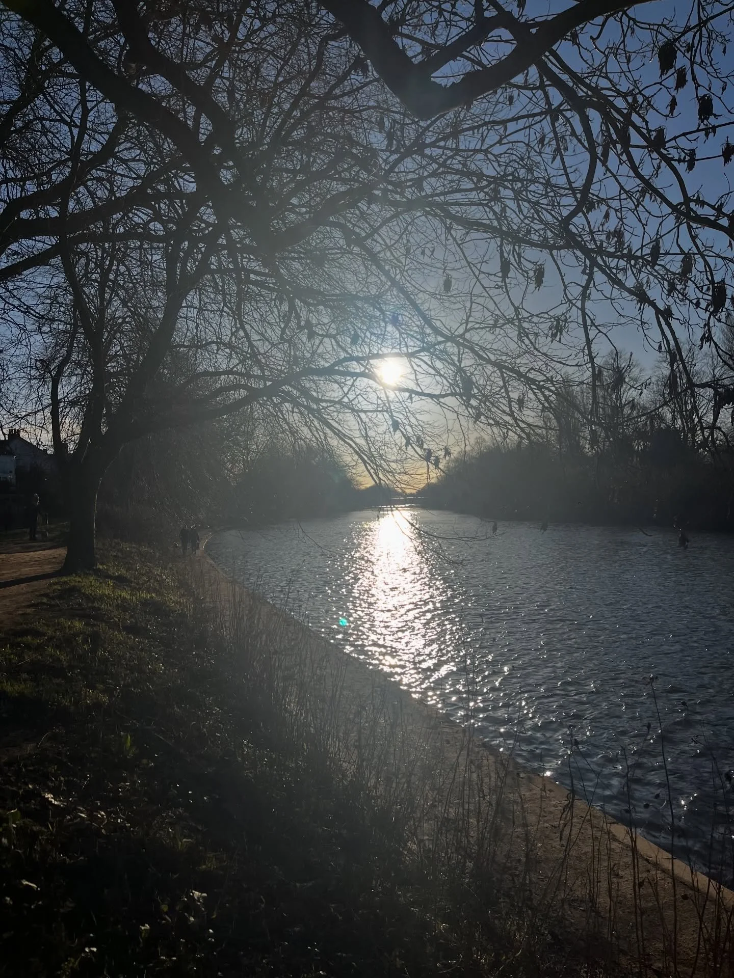 January in a nutshell: the usual (dogs, teaching) but also extreme weather events, The Virus, Sun Salutations and two weekends away, who am I. 

Also: why has no one told me about @siennaspiro? I had to visit @monicavinader, see the campaign and enjo