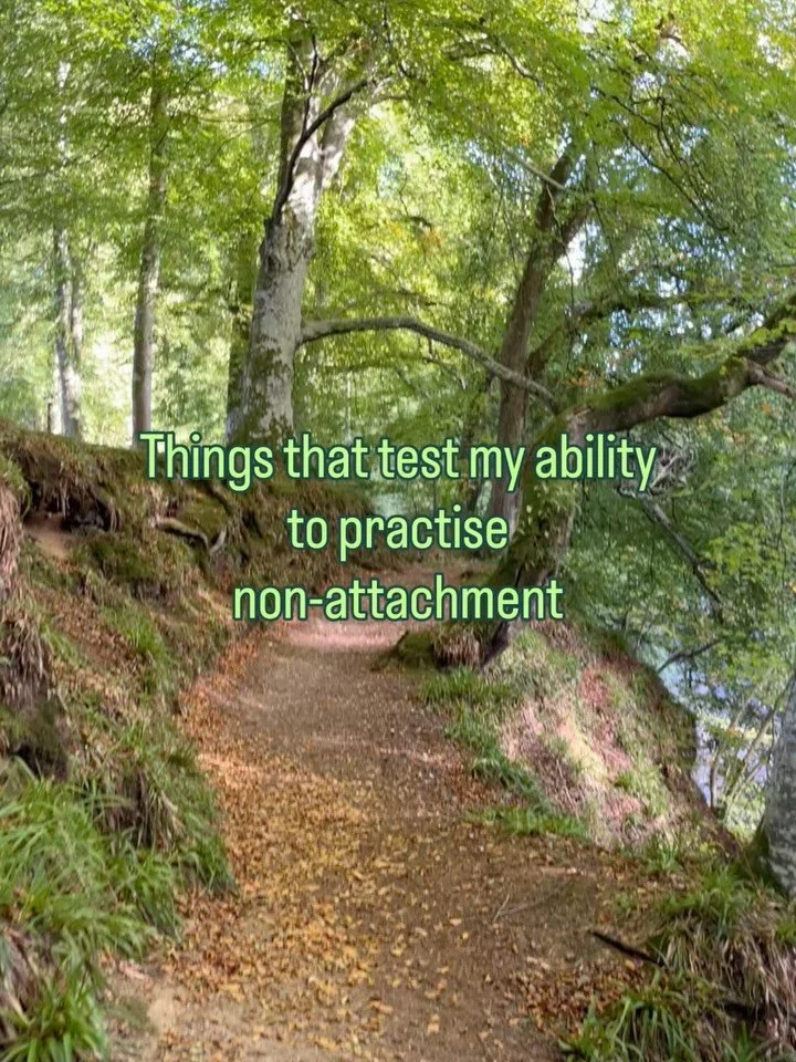 All this yoga, and I&rsquo;m still the airport/nature/driving police.

#nonattachment #yogaoffthemat #nochill #yogapracticenotyogaperfect #yogahumor