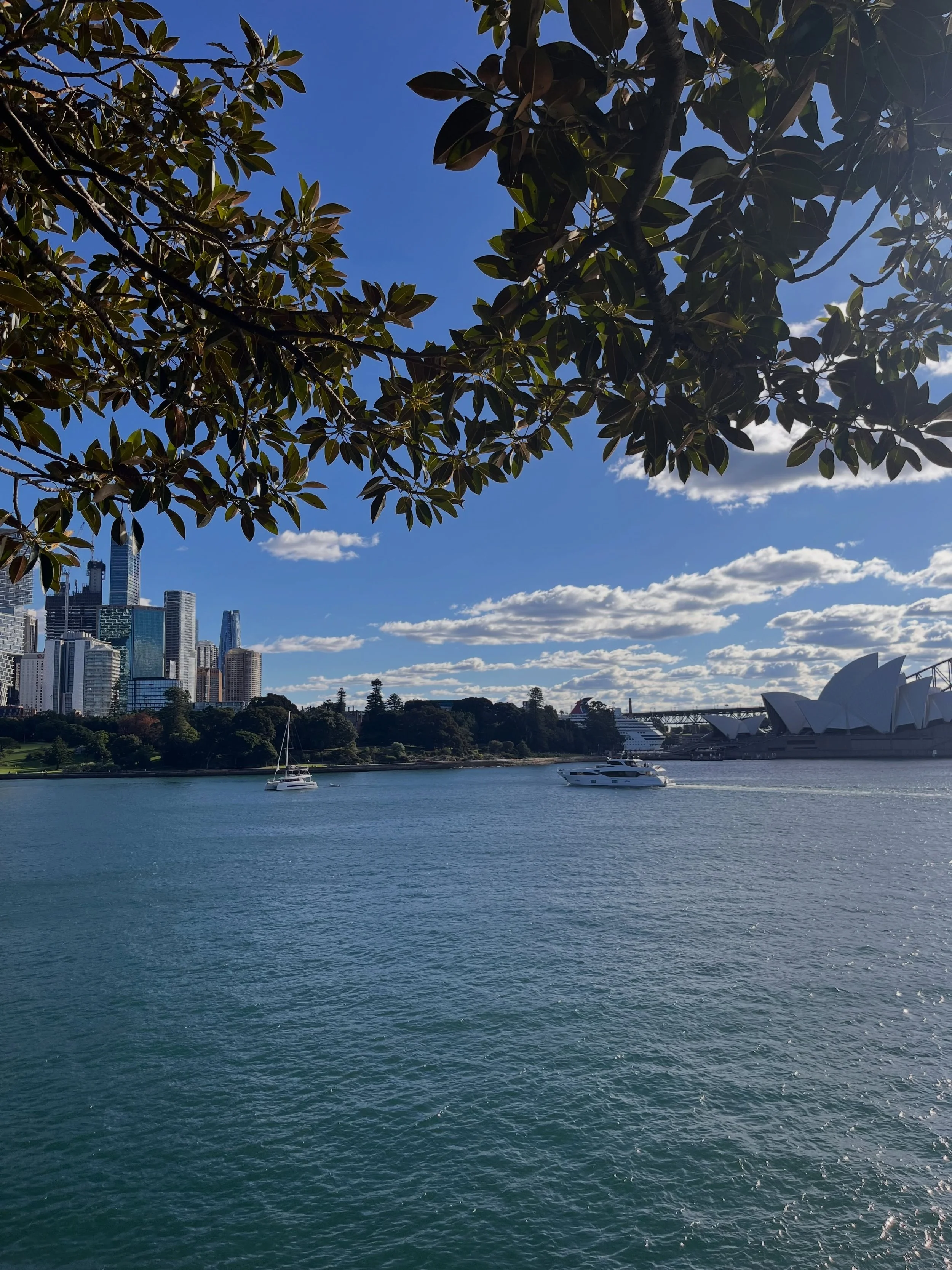 MAY = YAY

1 : spent two weeks in my home town. Evidently the harbour remains an eyesore 

2-4: SO glad to have been there for a beautiful friend&rsquo;s beautiful wedding. We have a lot to thank Jane for

5: dinner with school friends, which was cas