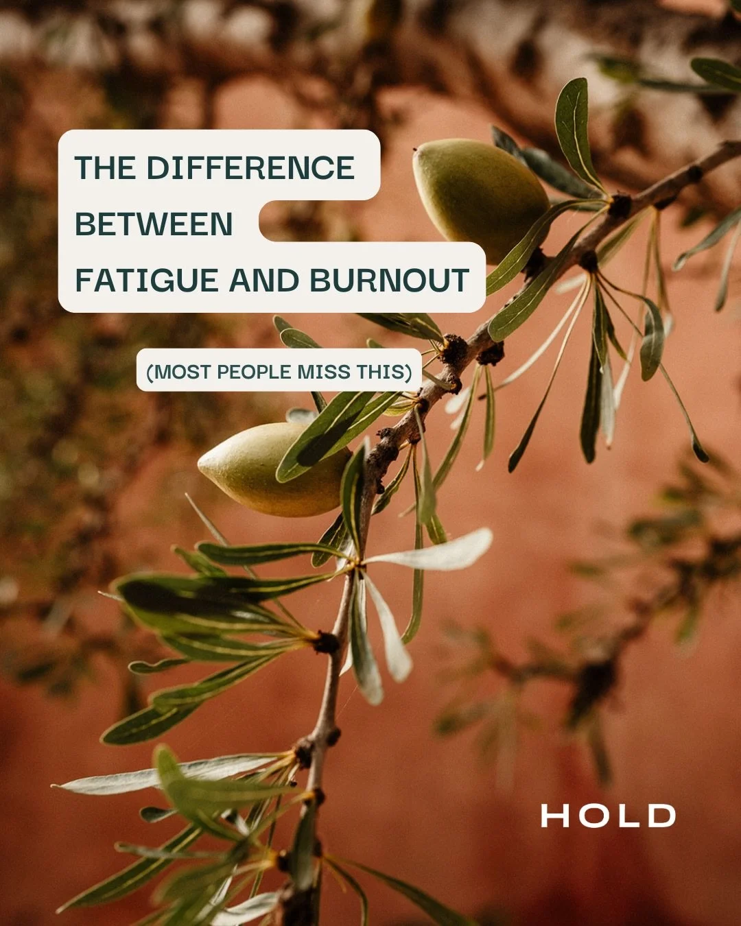 I spent years feeling tired to my core.

Except it was more than tired. It was a deep depletion of my spirit that no amount of sleep, annual leave, or yoga class could fix.

This is what I wish I&rsquo;d known at the time.

I hope it helps - particul