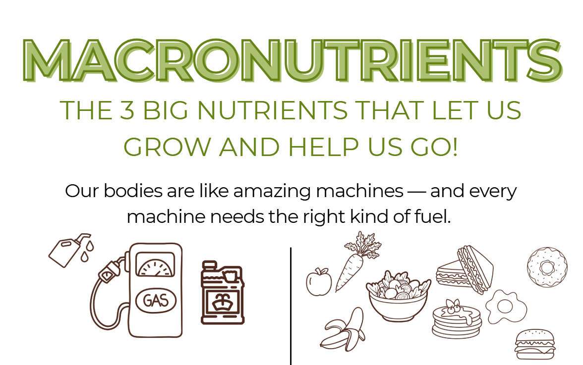 Macronutrient workbook screenshot.png