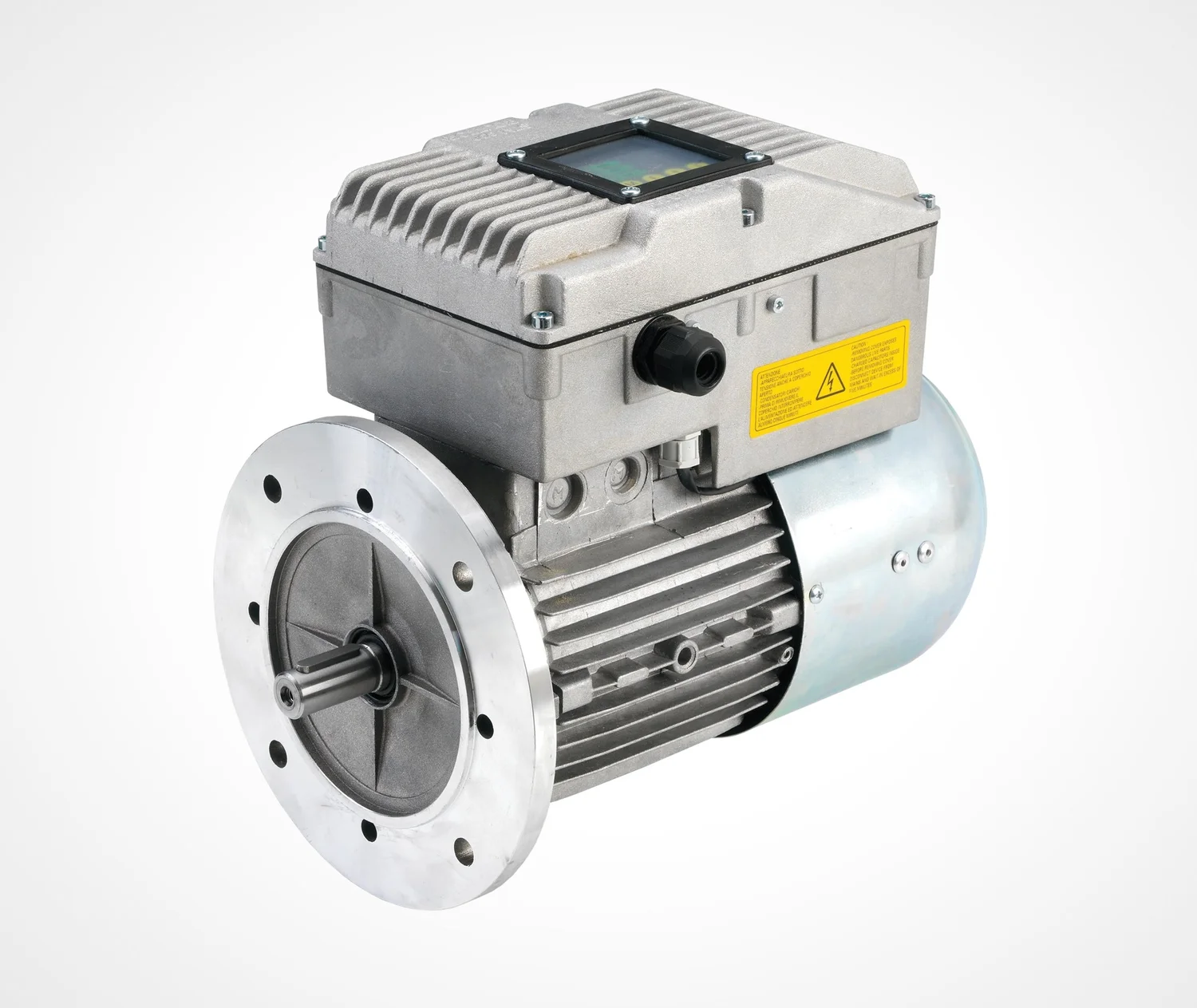 Electronic Speed Variators ESV  Young Powertech