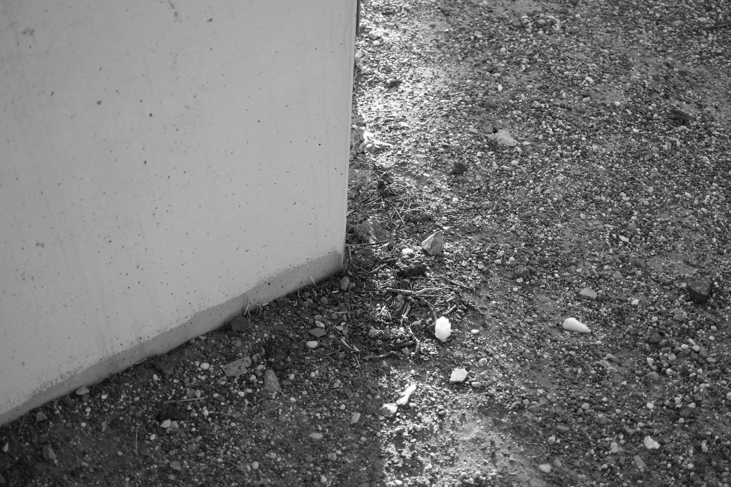 DSCF0489.jpg