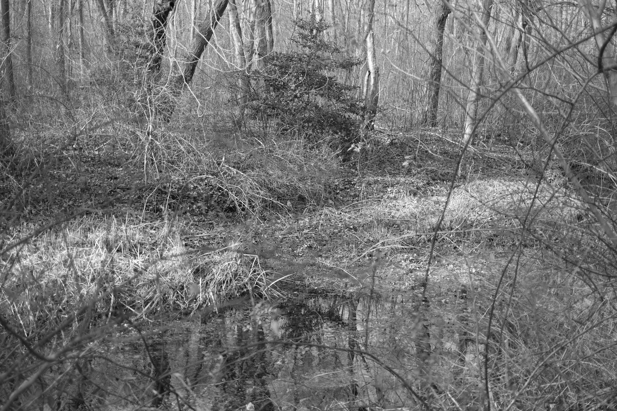 DSCF0216.jpg