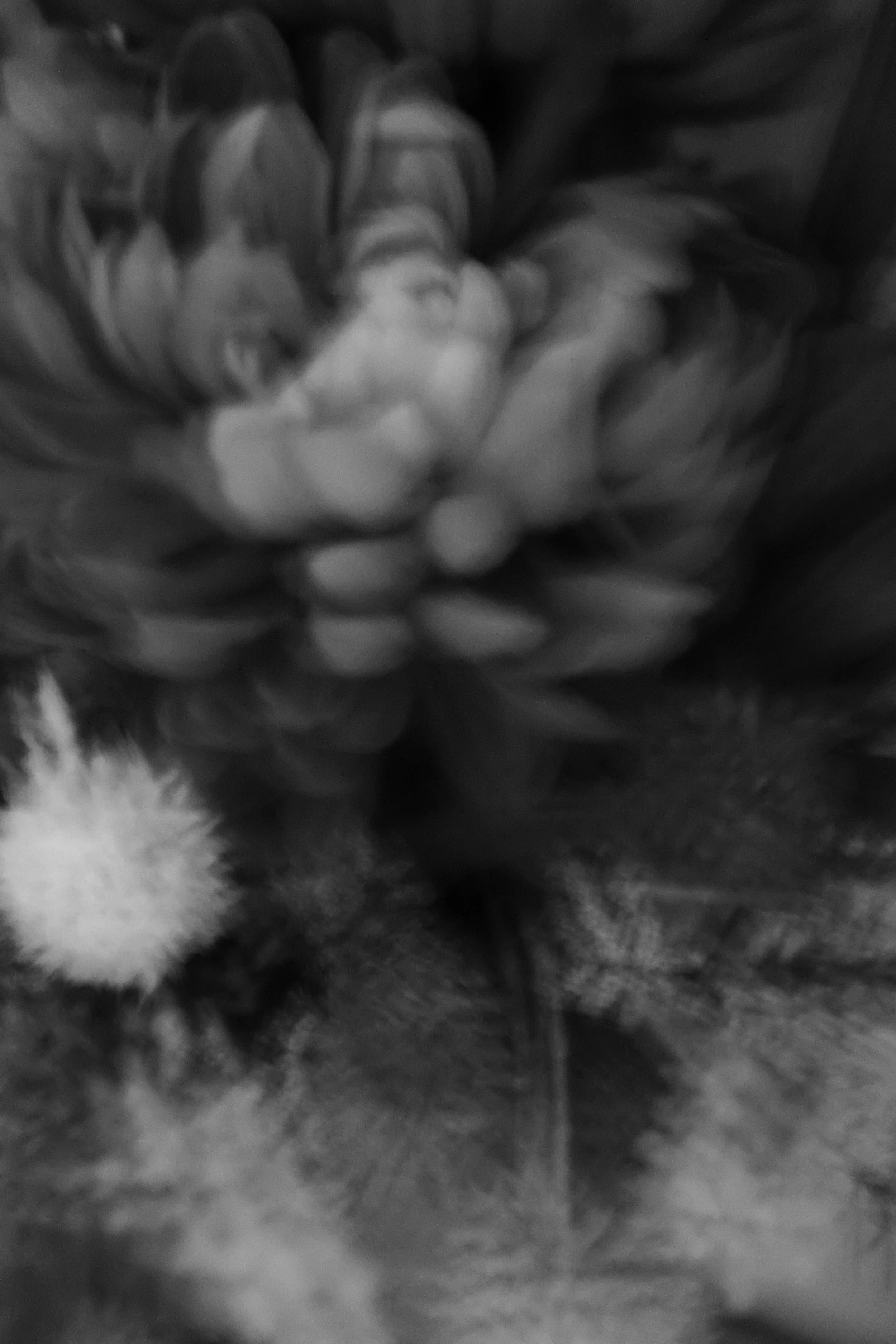 DSCF0503.jpg