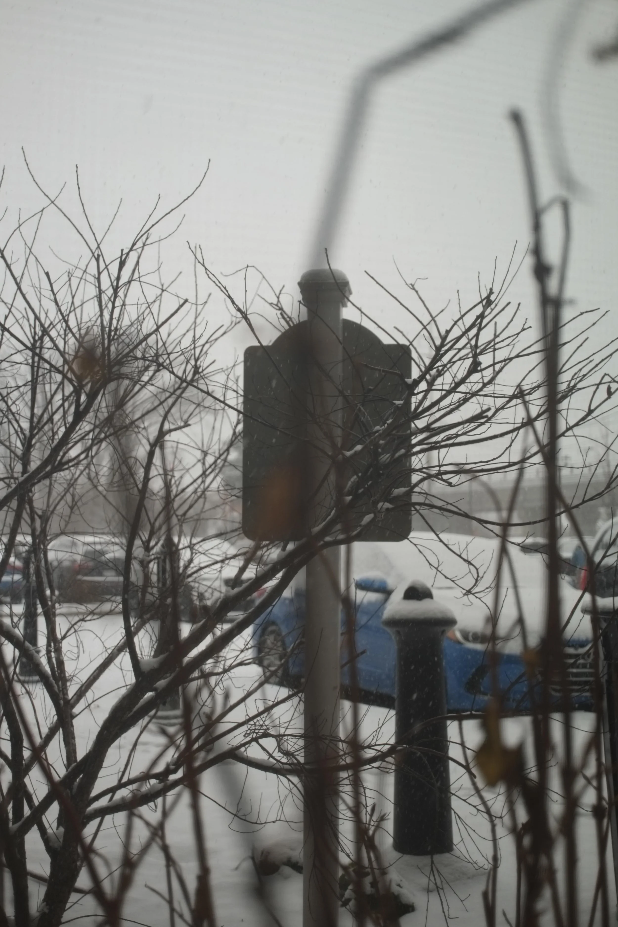 DSCF0416.jpg