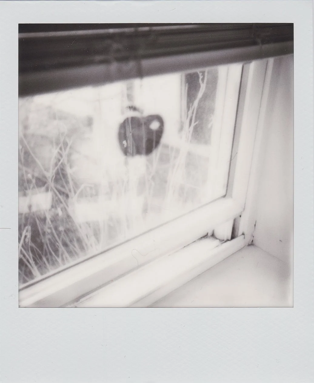 window2.jpg