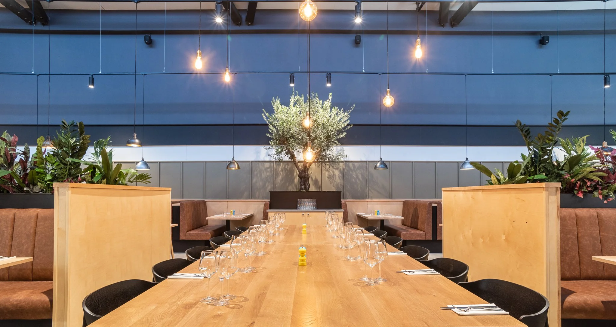 150752DSC_0974 (1).JPG