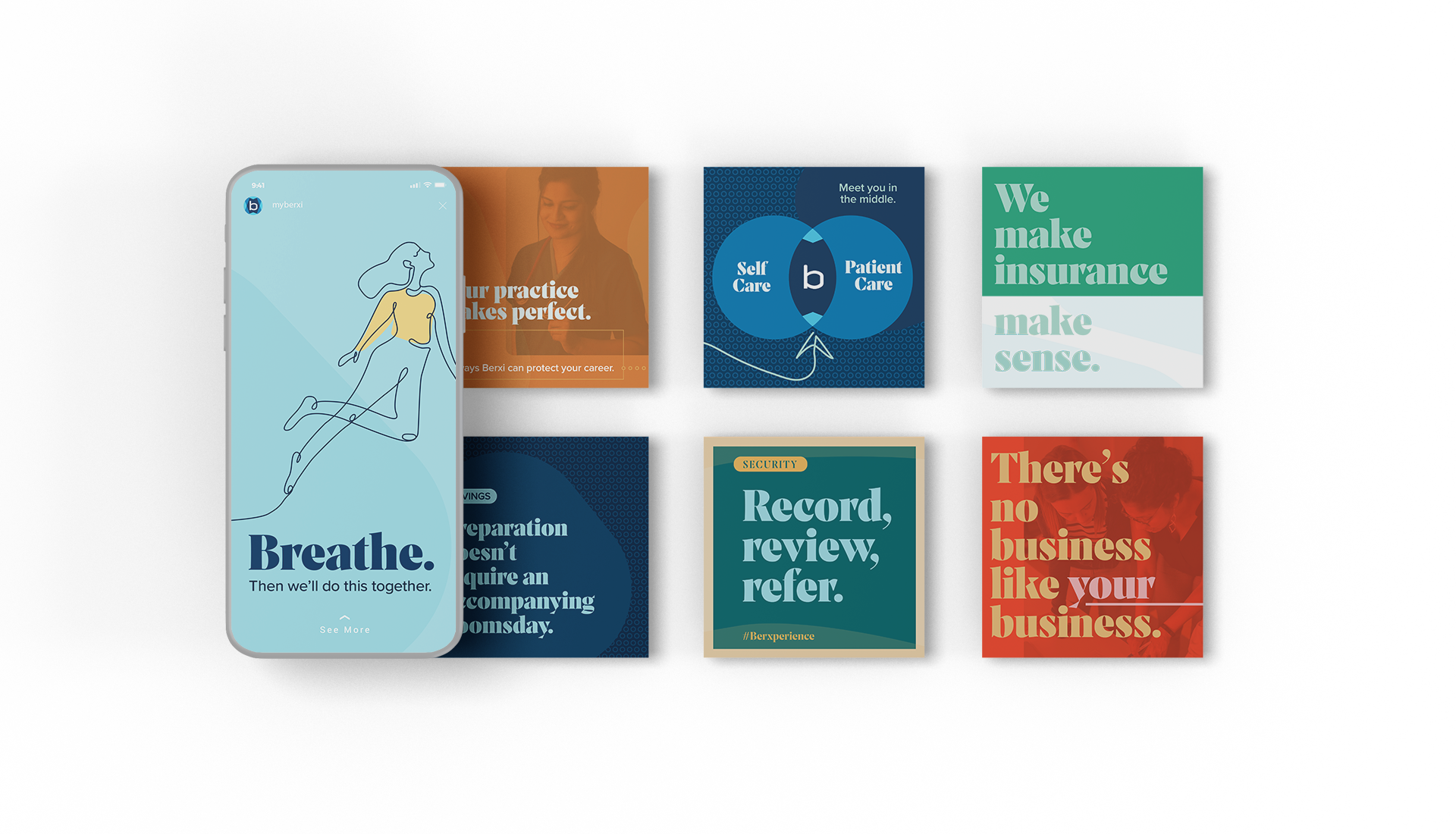 Berxi Brand Standards Online Guide