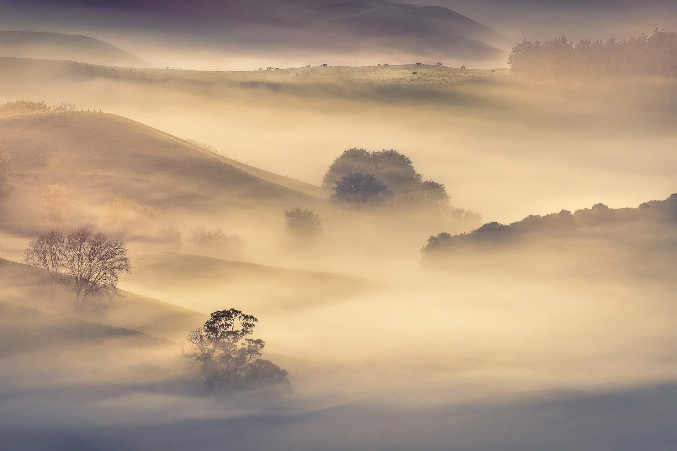 Learning Through Loss