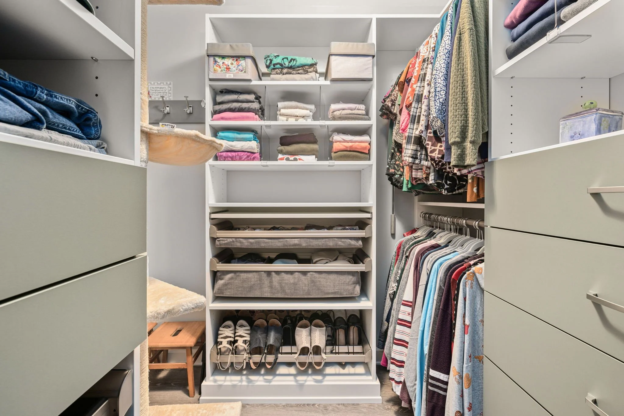 Shoe storage and pull out storage