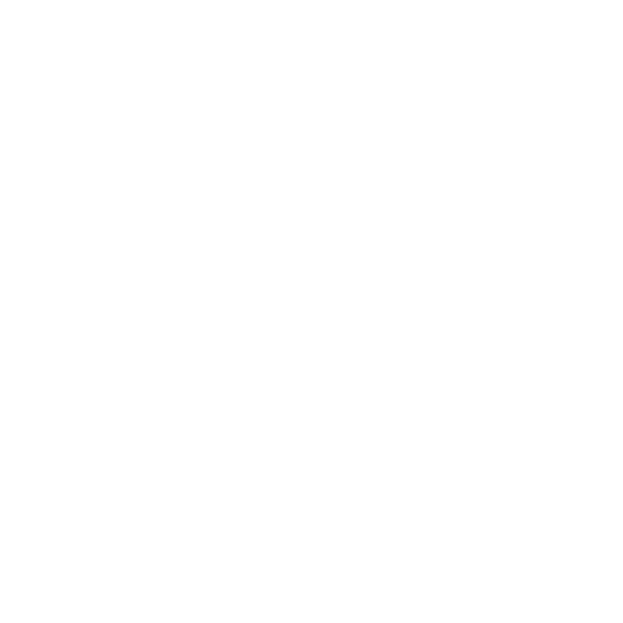 Asset 8veteran owned.png