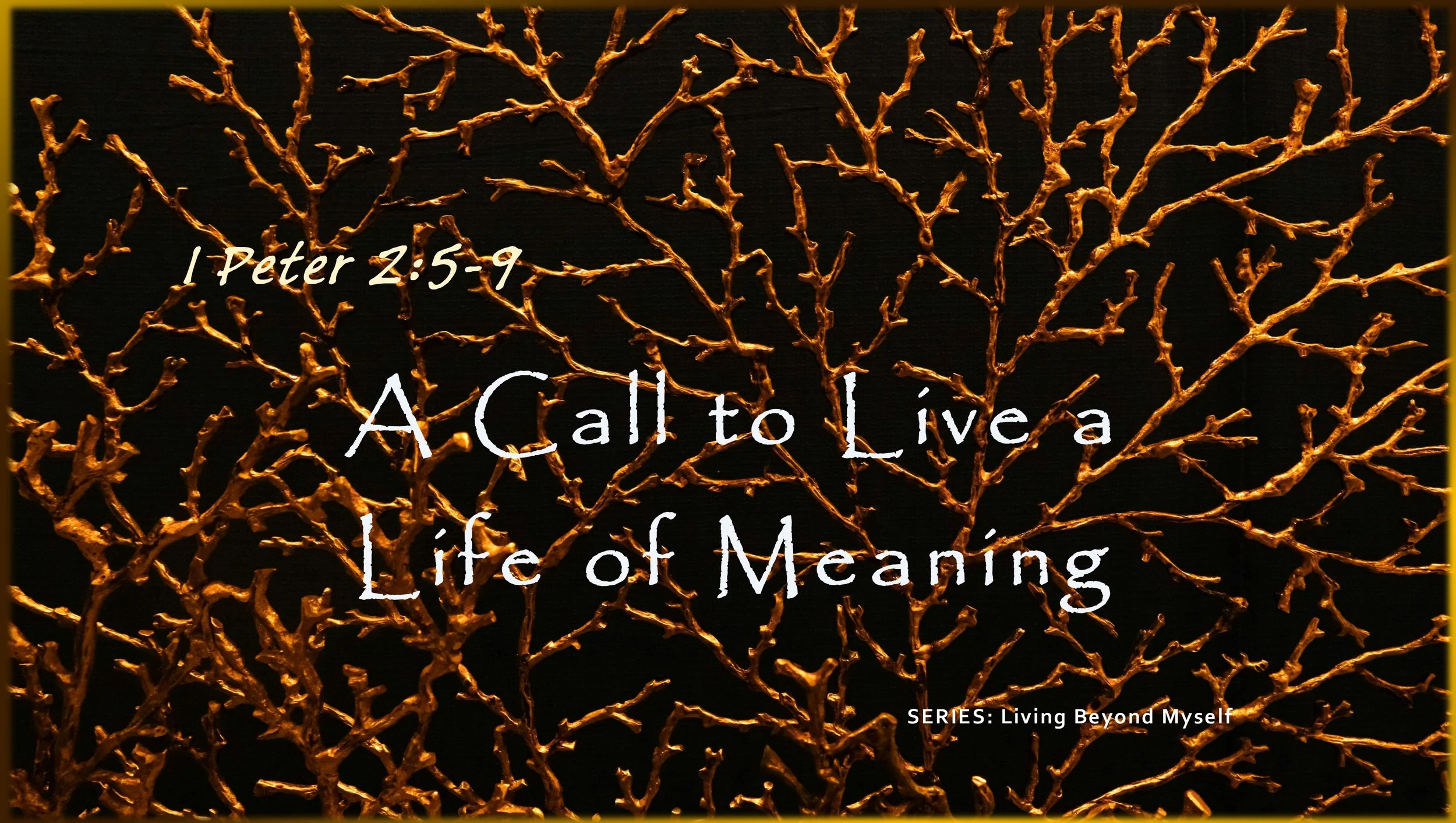 A Call to Live a Life of Meaning