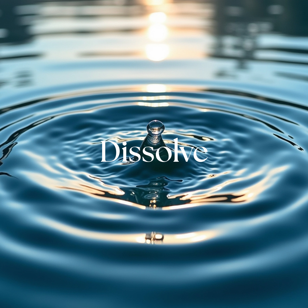 Word of the Day: Dissolve