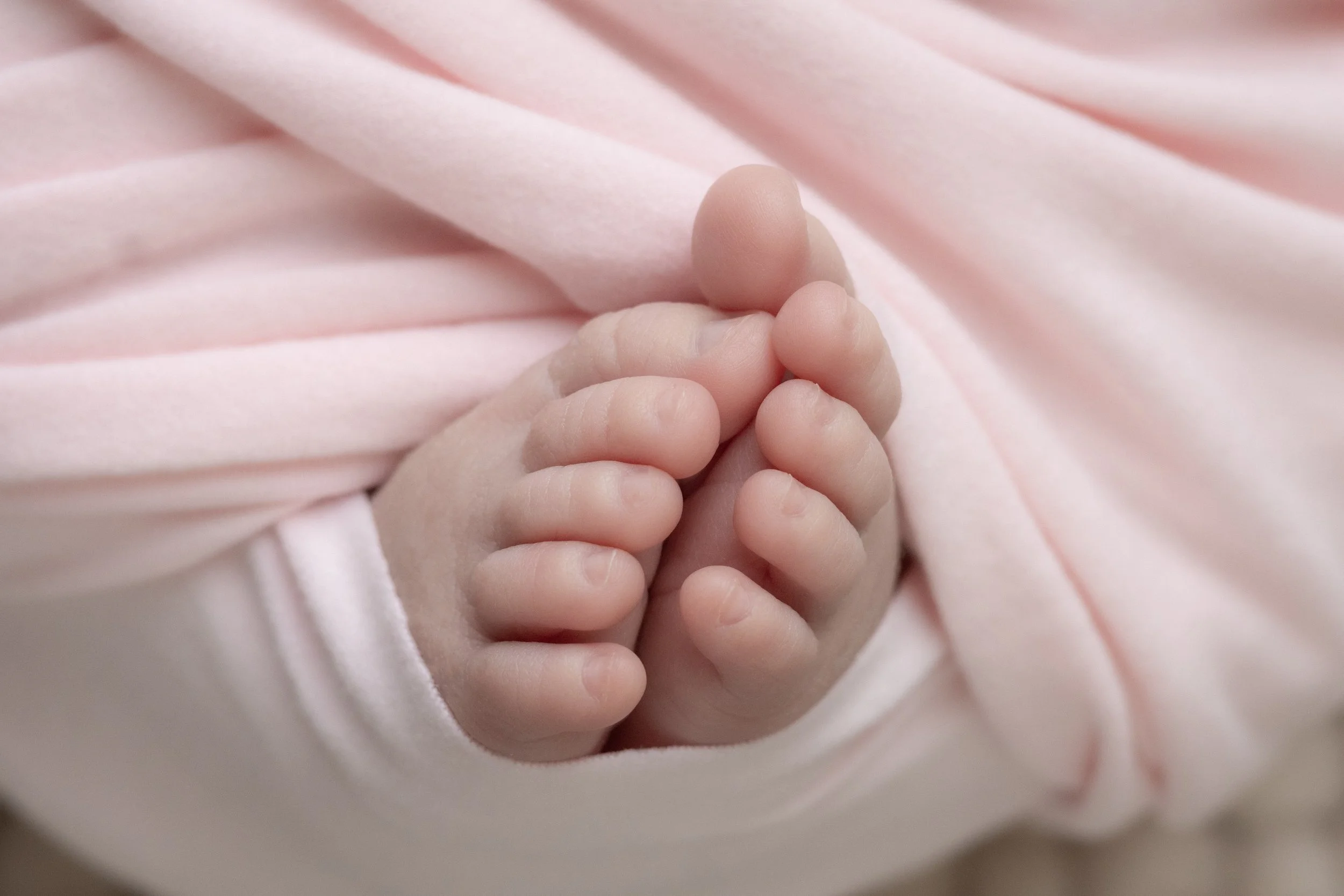 27-IMG_8968 - 27-01-2026 22-28-36.jpeg