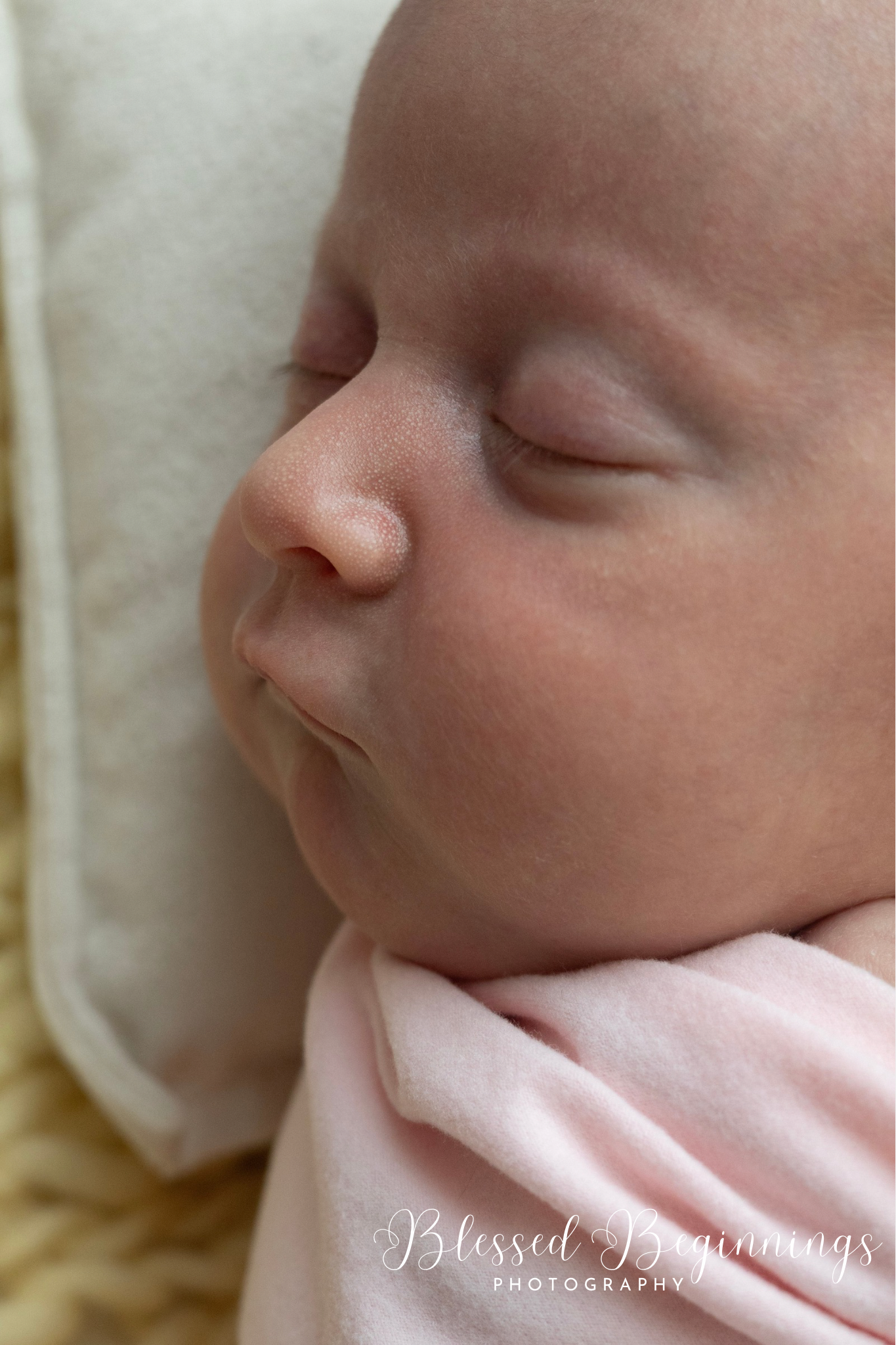 Untitled design - 1.png