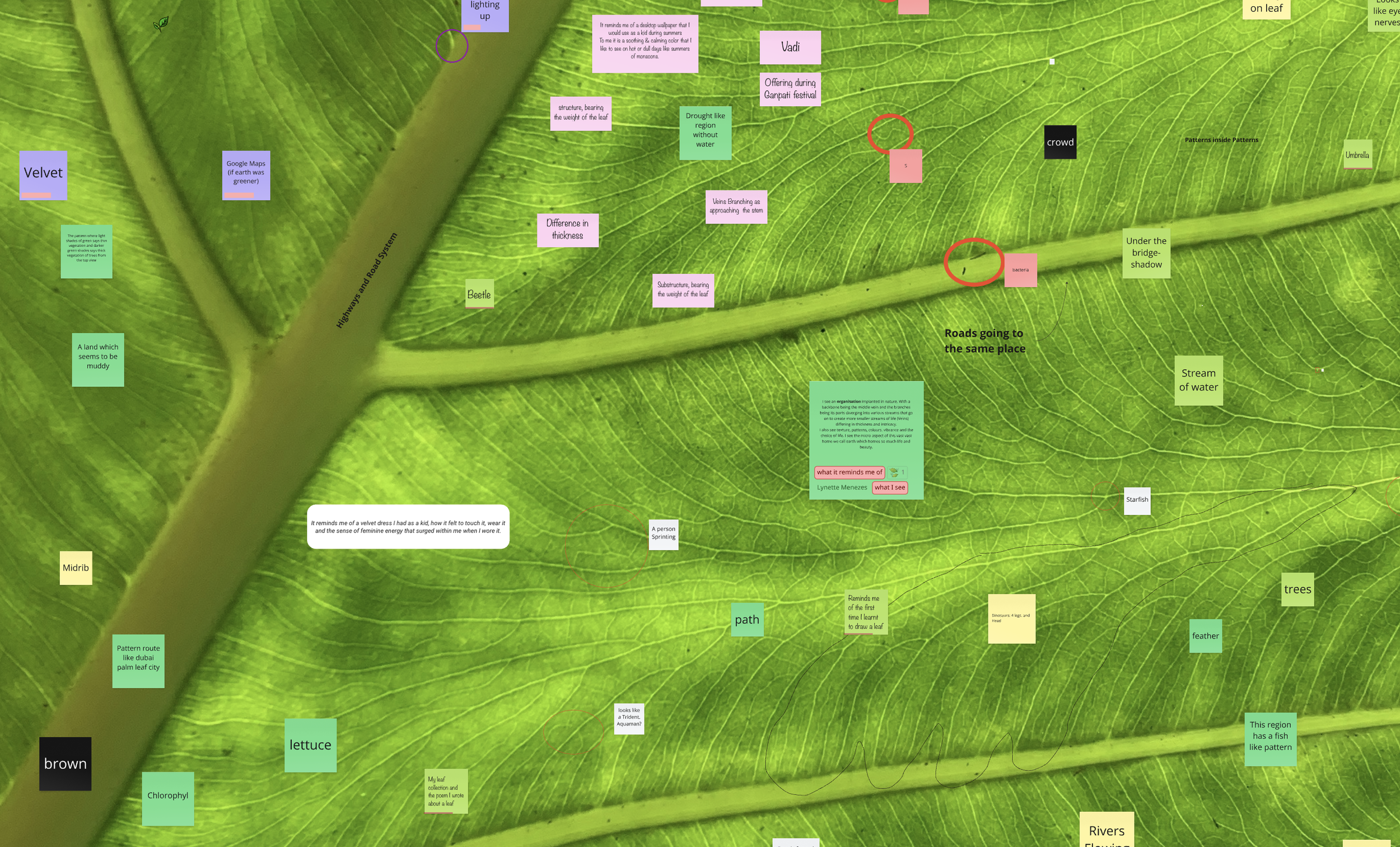 Screenshot 2025-04-09 at 2.38.03 PM.png