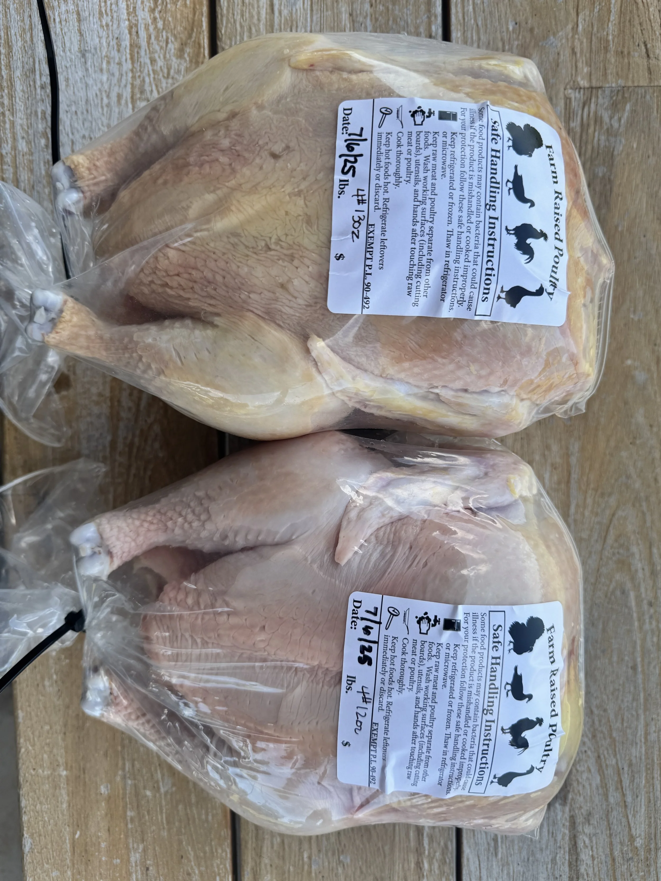 Chicken