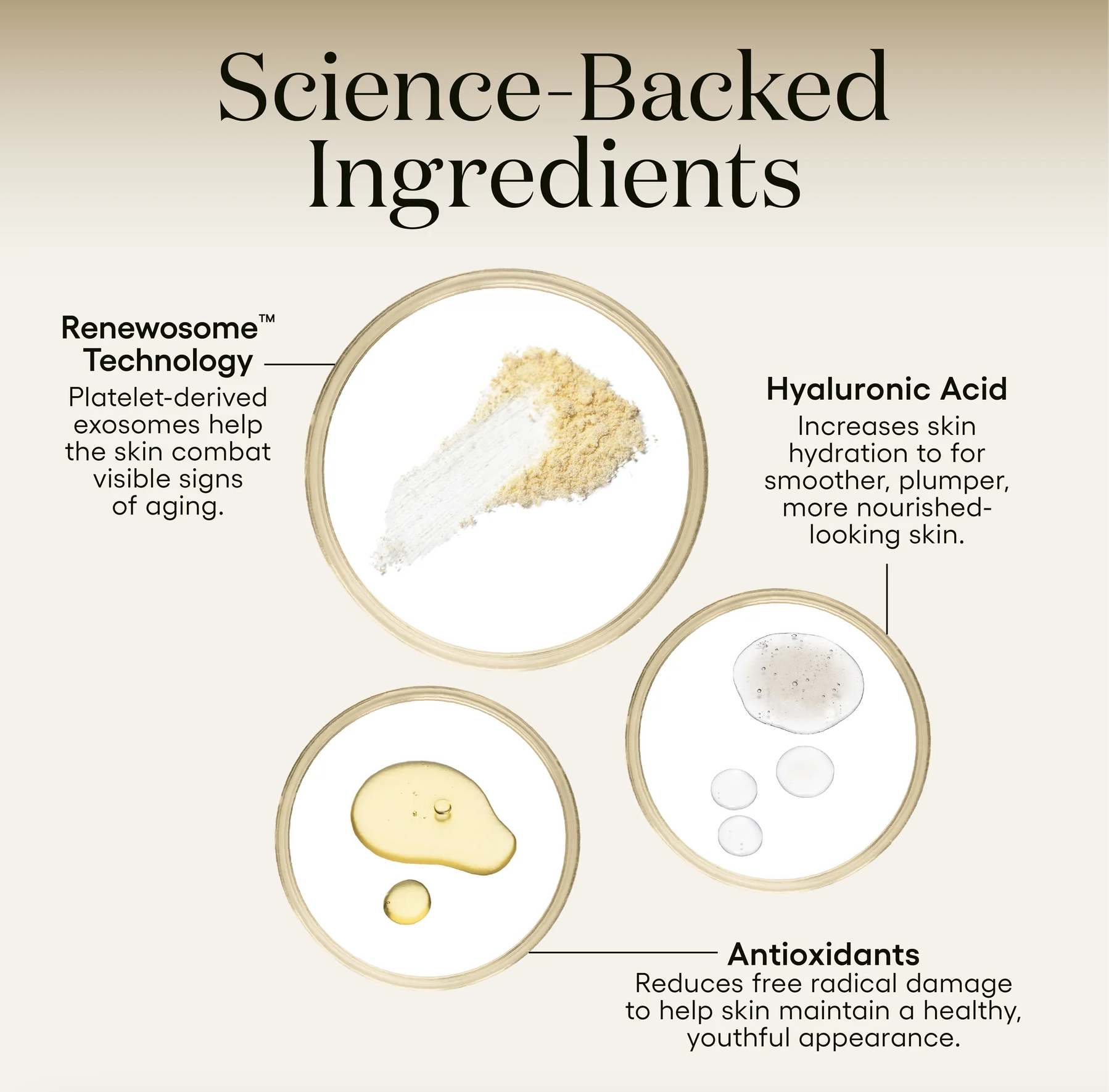 Plated INTENSE Serum 2.png