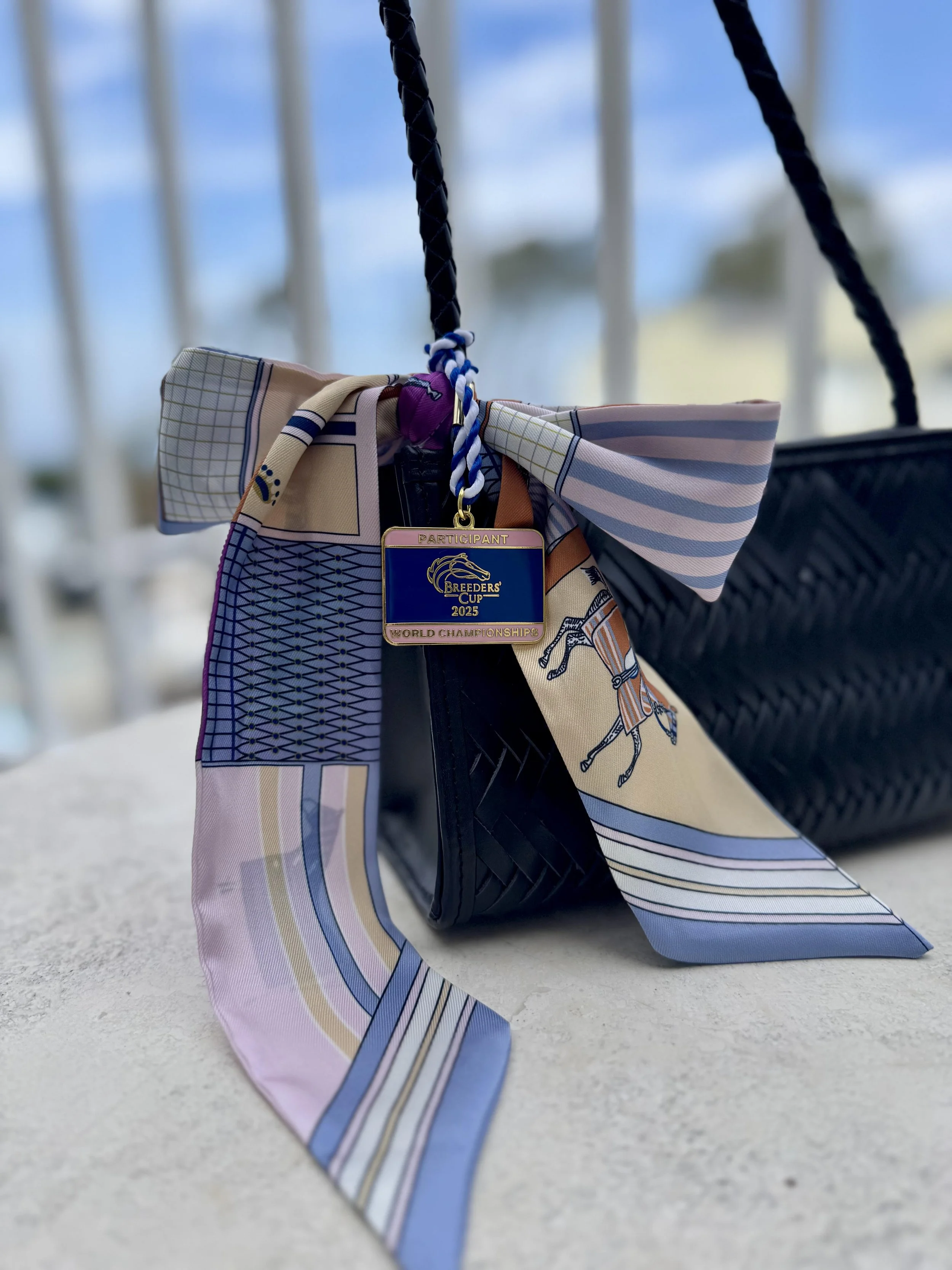 New Arrival: The Equestrian Twilly Scarf