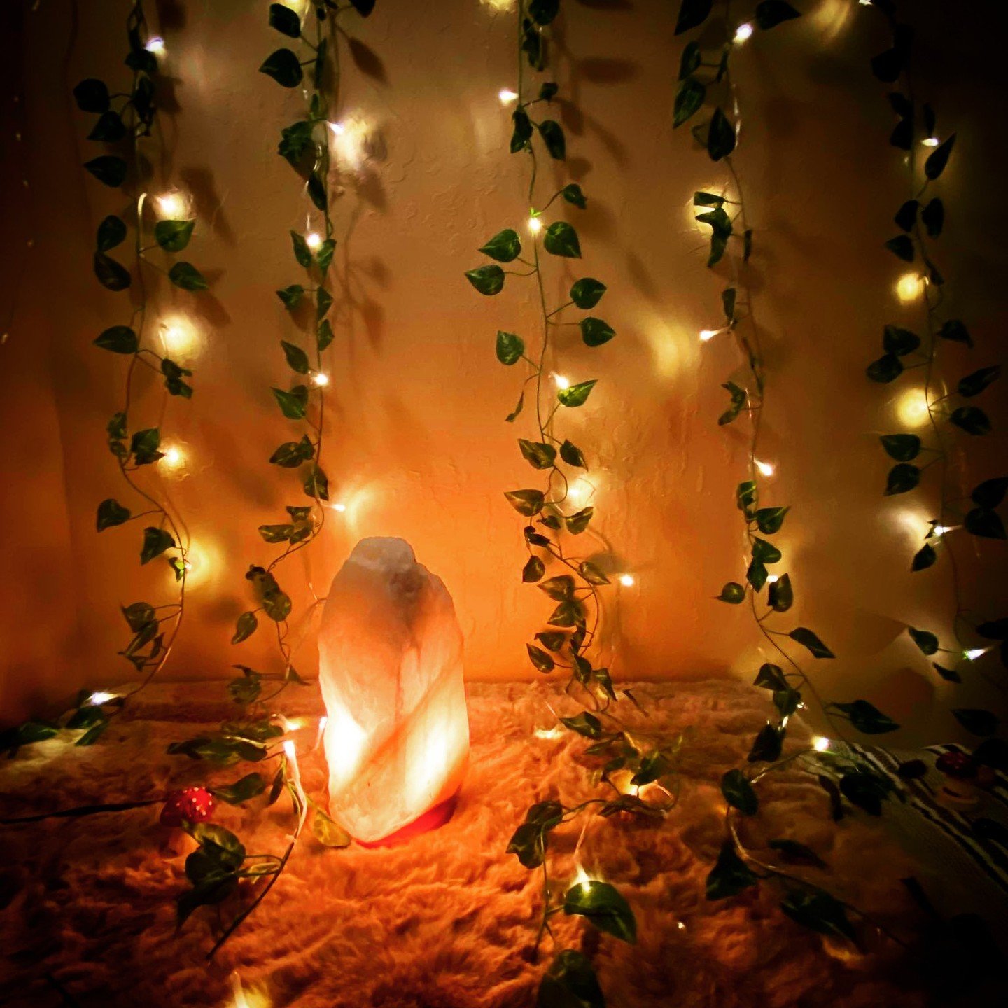 🌿✨ Step into the forest, even if just for a moment ✨🍄

I&rsquo;ve created a peaceful, forest-inspired space to help you feel grounded and connected to nature. With soft glowing lights, lush greenery, and touches of whimsical mushroom decor, the atm