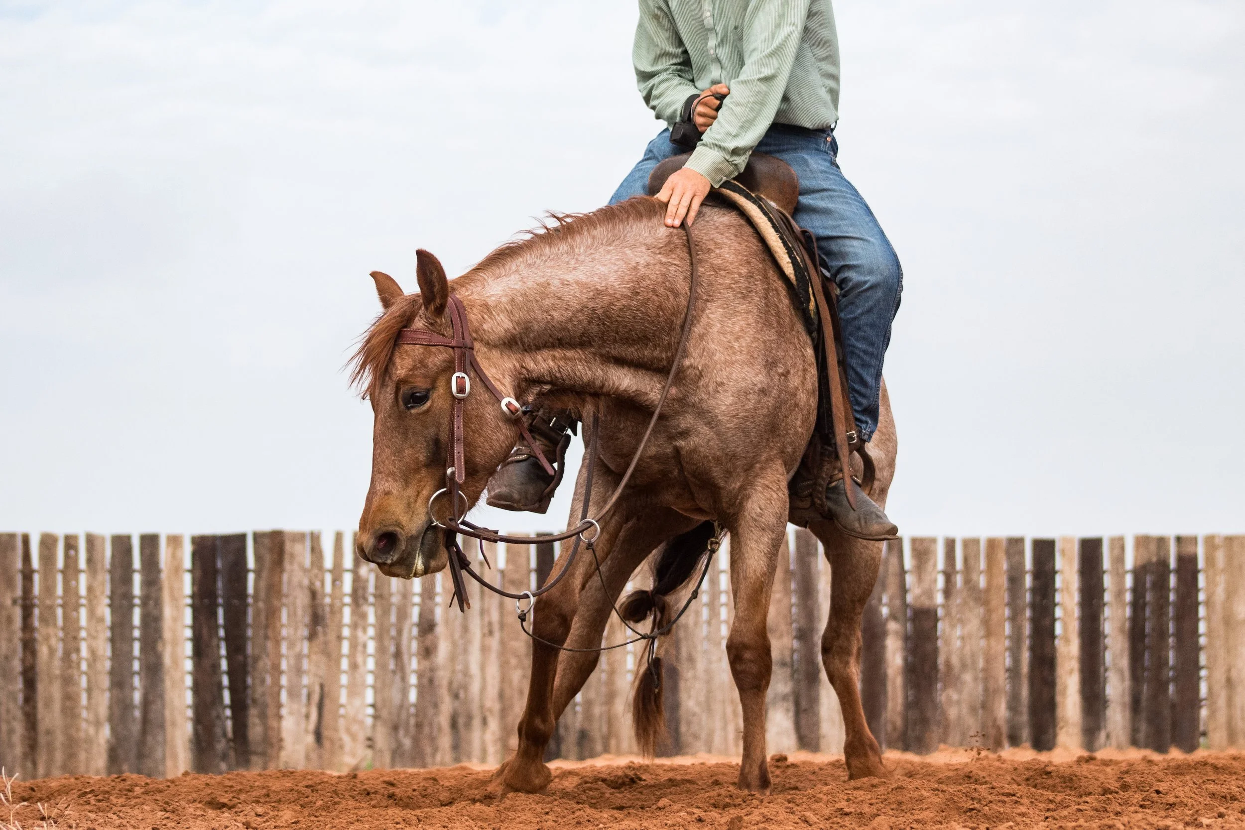 Piztol Annie Rusty Gray.JPEG