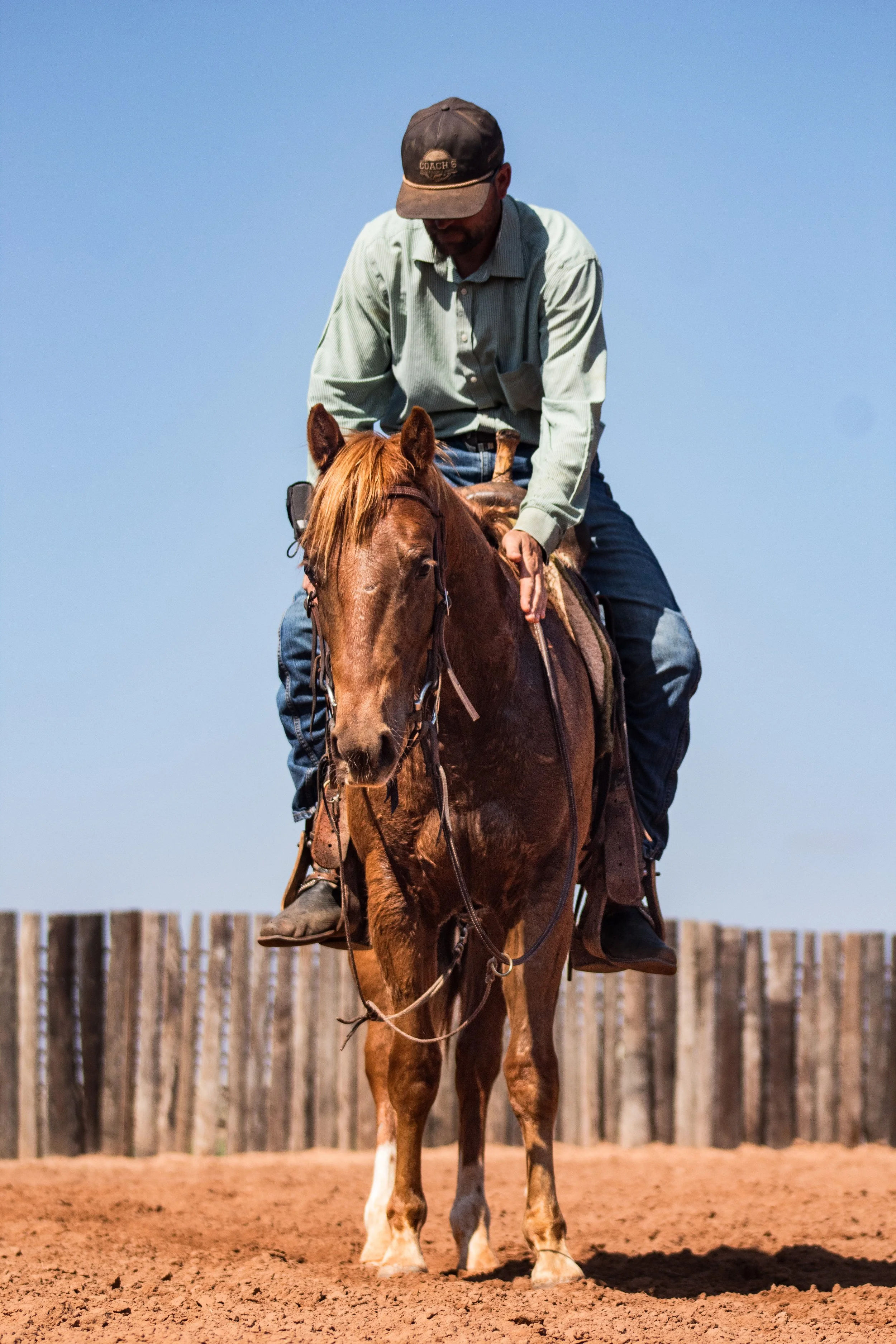 Money Rusty Gray.JPEG