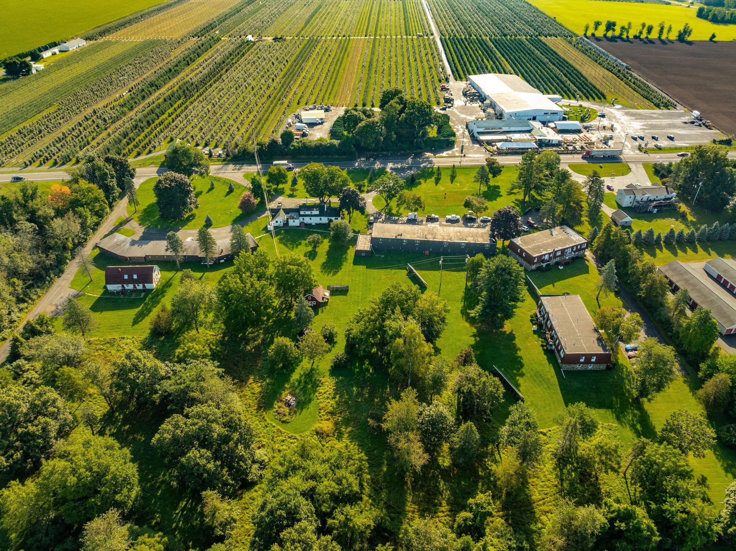 DJI_0512-HDR.jpg