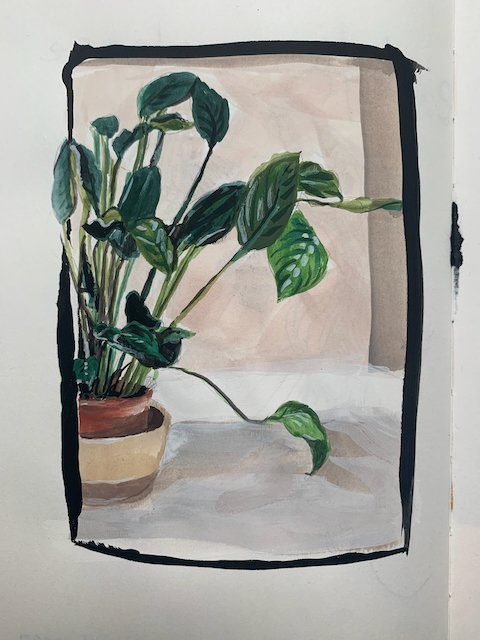 peace lily