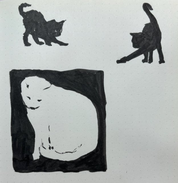 cats