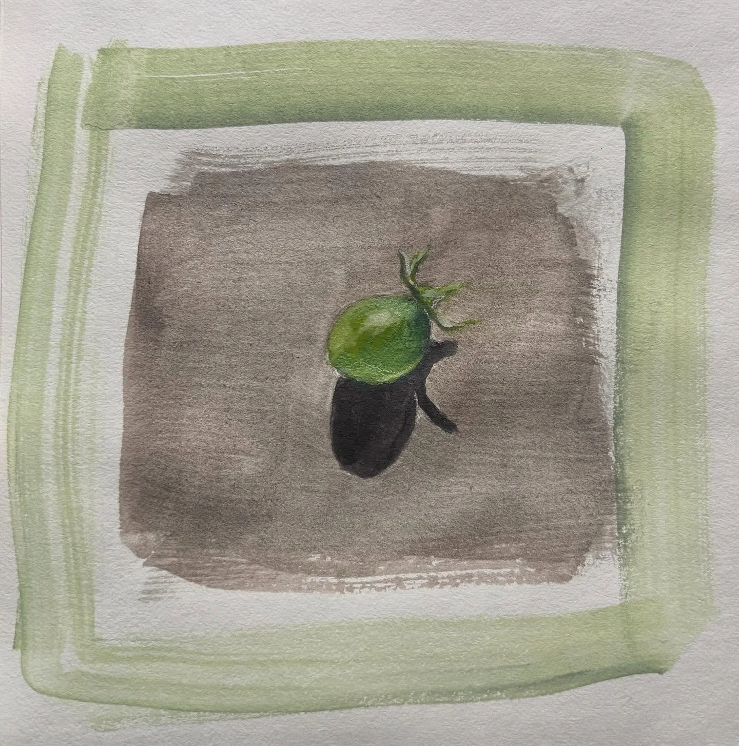 Last summer tomato going in the sketchbook&hellip; 

@caneyosketchit #caneyosketchit2025 #tomato #sketch #watercolor #practice #everythingmustend