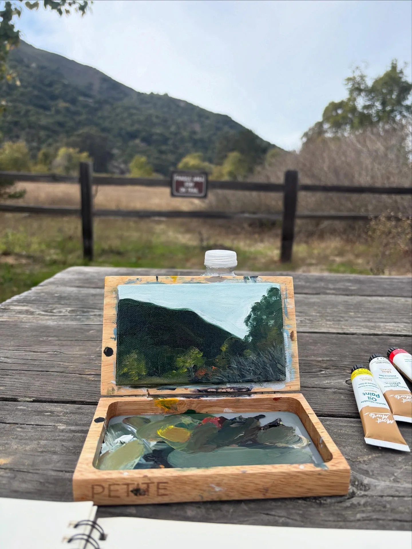 Got to spend some time with my Petite Pochade yesterday. What&rsquo;s in your Analog Bag?

#analog #petite #oilpainting #garlandpark #kellymicca #gooutsideanddothings