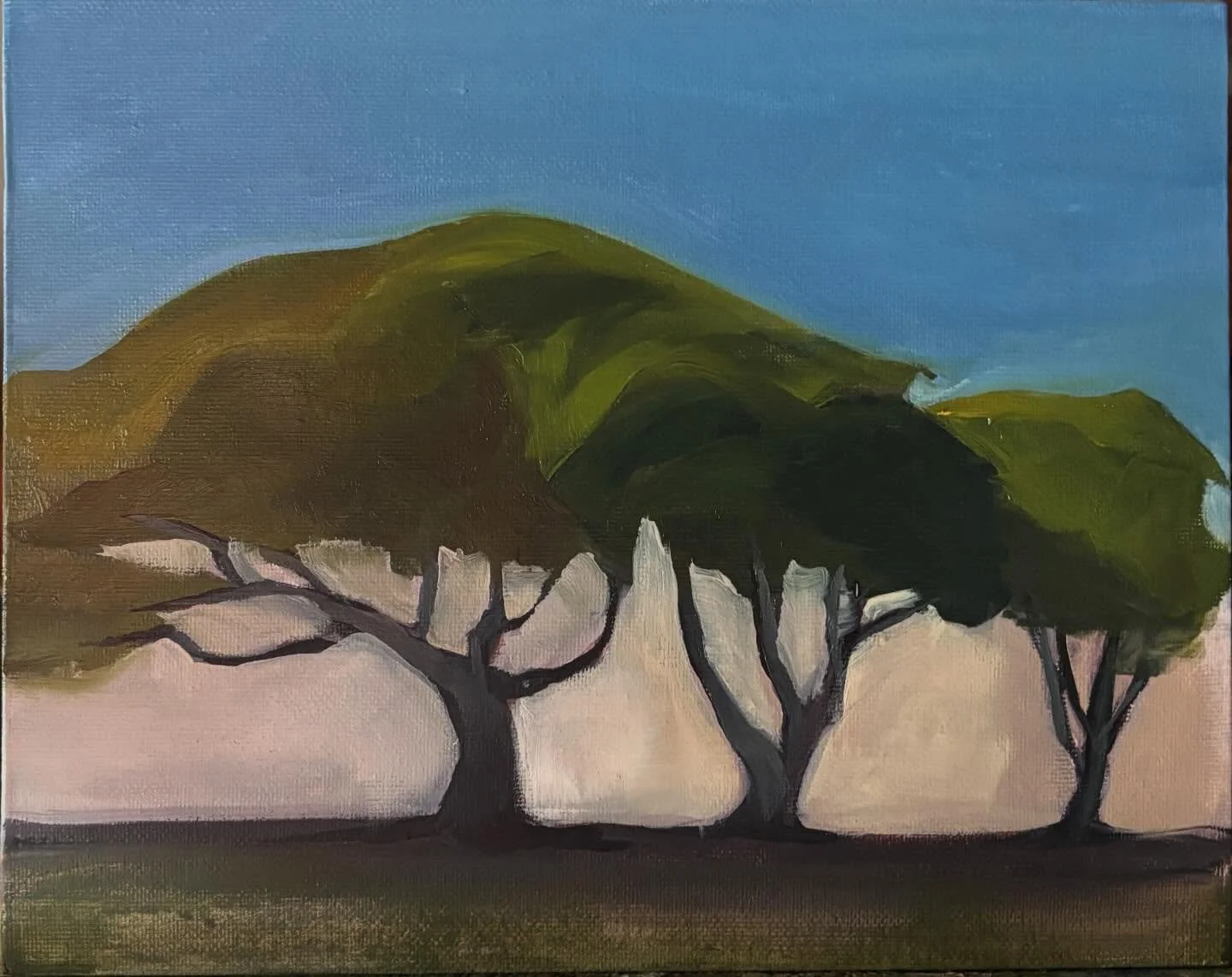 Got to do some outdoor painting today in Pacific Grove. The weather has been absolutely radiant.

#pacificgrove #pleinair #spring #outdoorpainting #gooutside