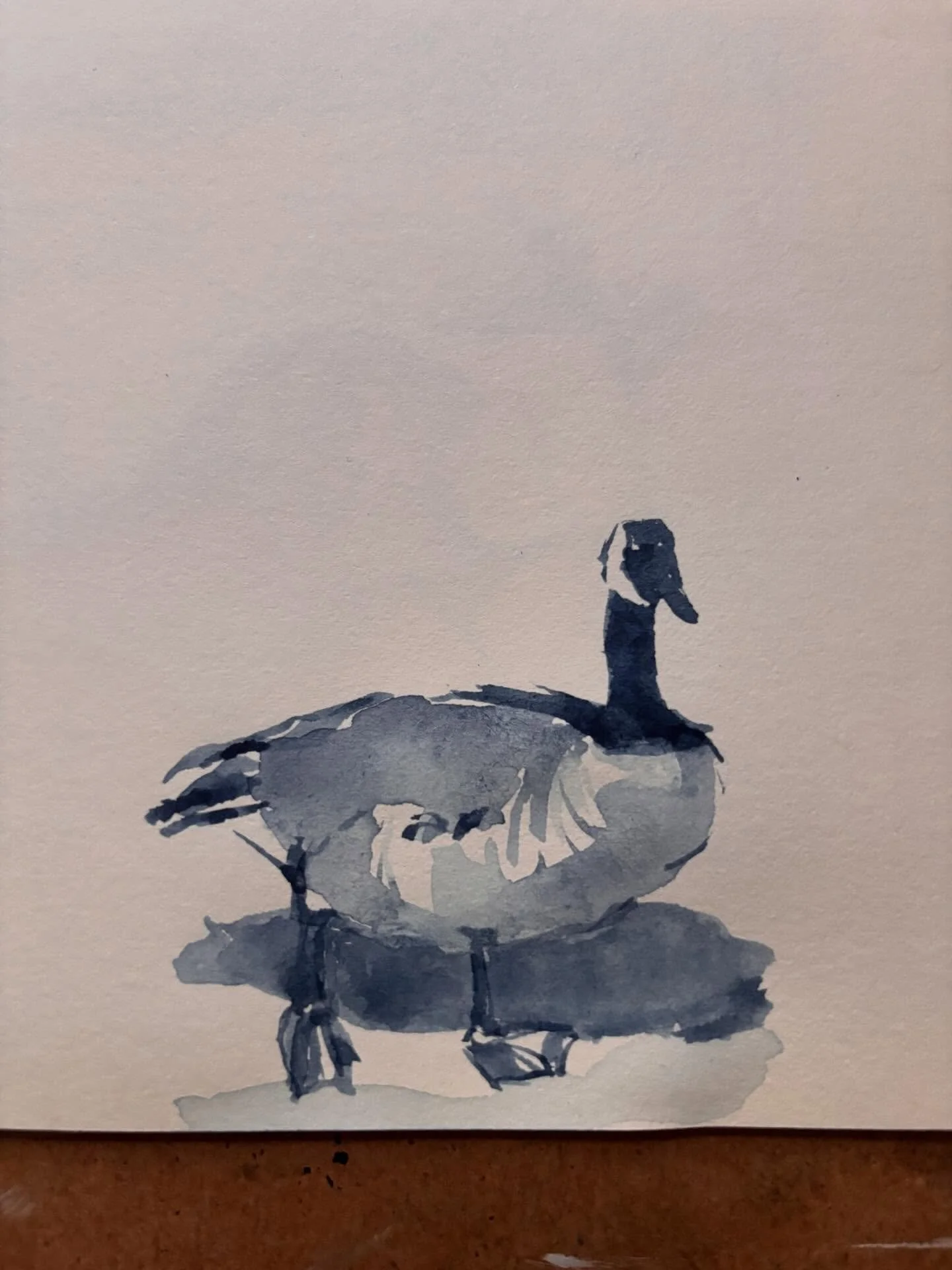 Duck duck